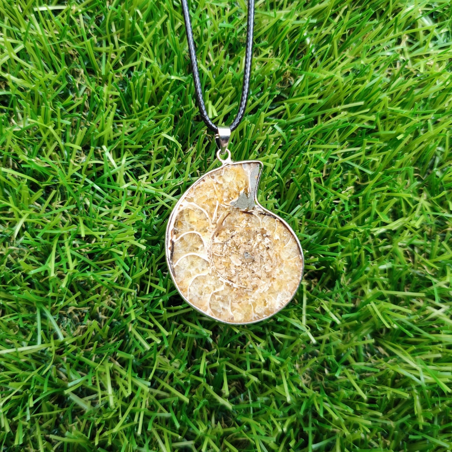 Ammonite fossil necklace - North Yorkshire Fossils