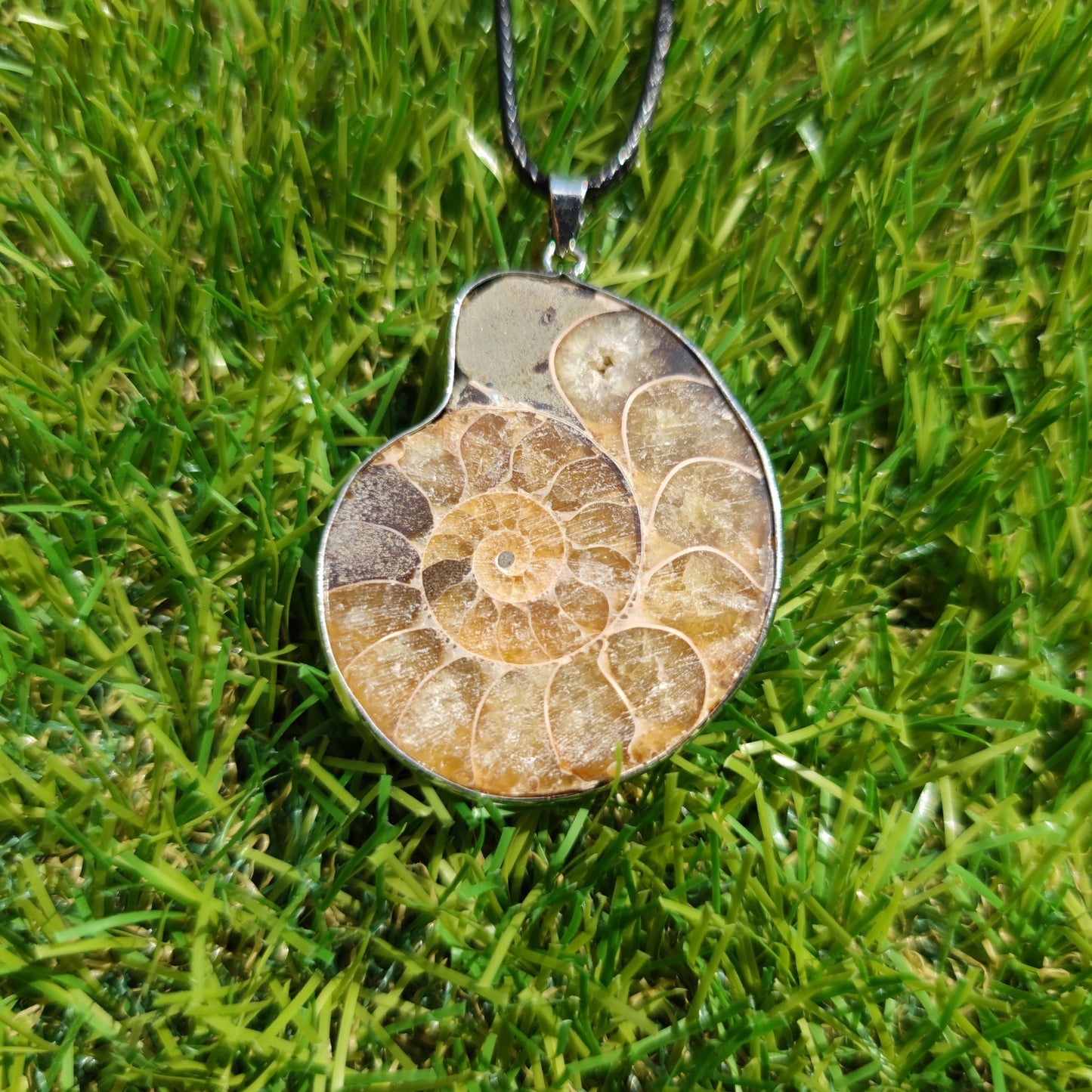 Ammonite fossil necklace - North Yorkshire Fossils