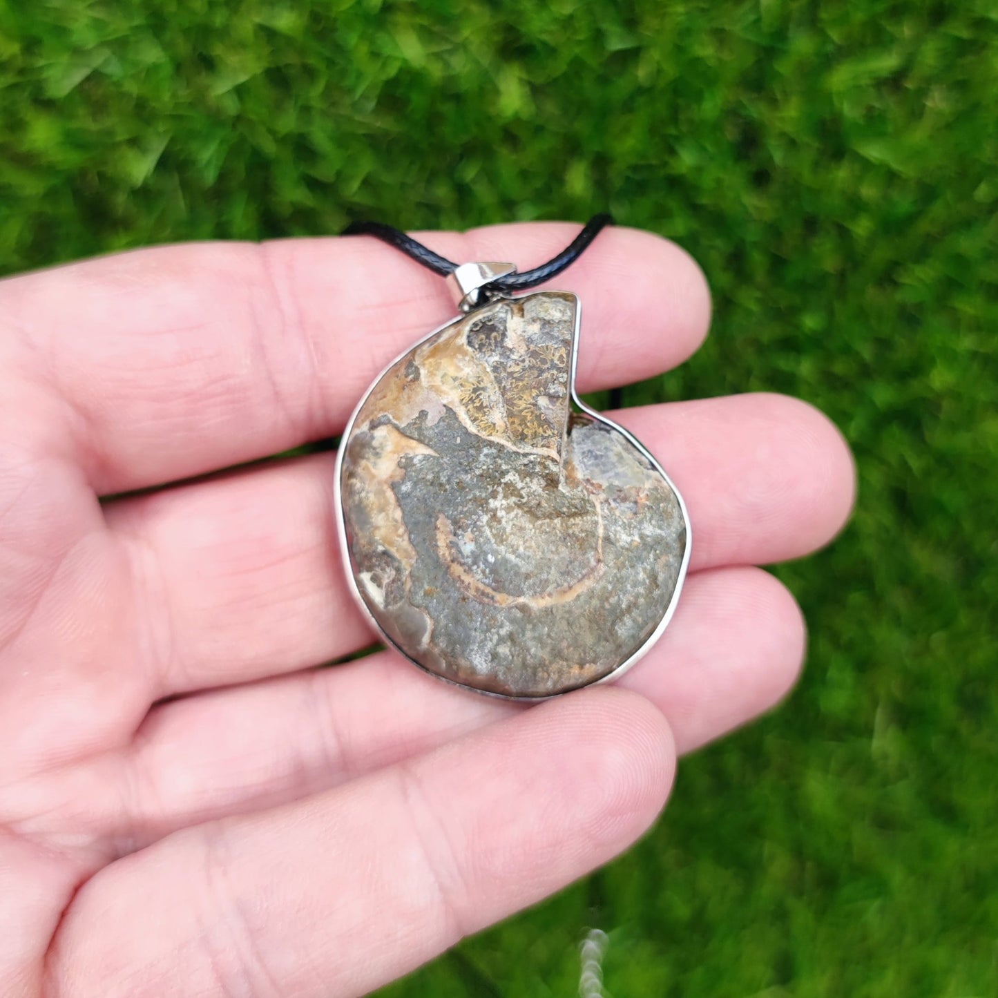 Ammonite fossil necklace - North Yorkshire Fossils