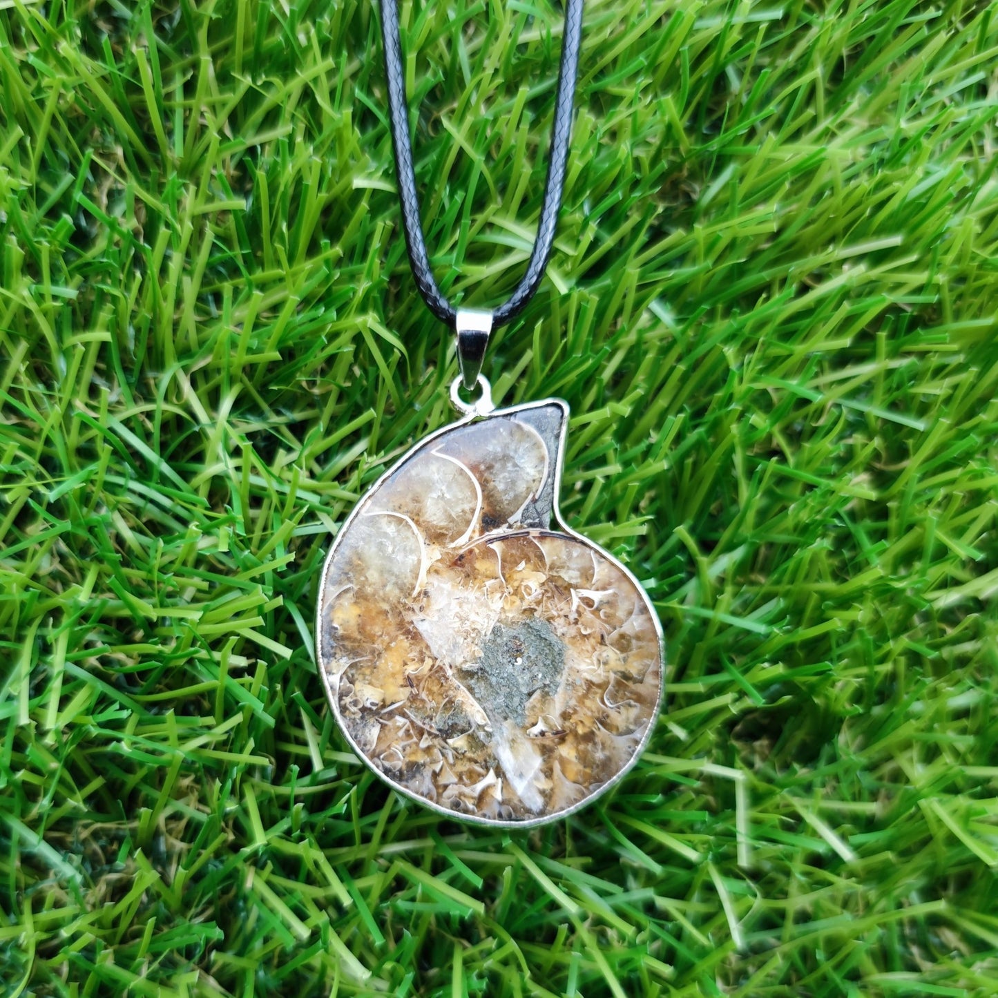 Ammonite fossil necklace - North Yorkshire Fossils