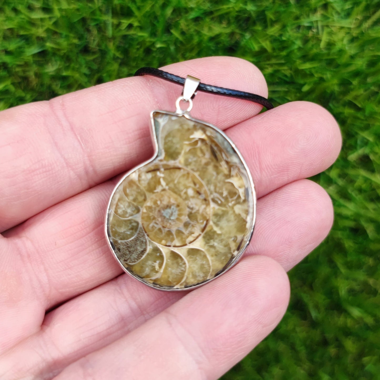 Ammonite fossil necklace - North Yorkshire Fossils