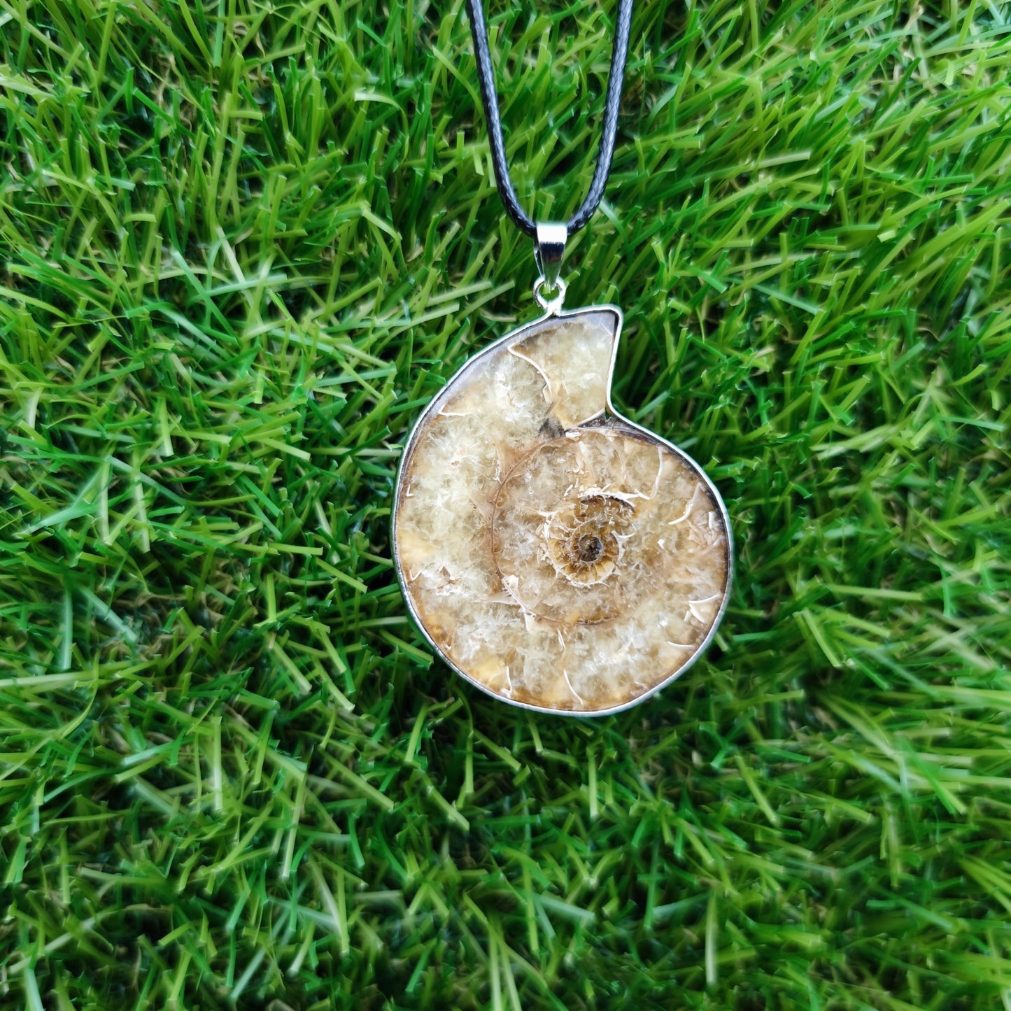 Ammonite fossil necklace - North Yorkshire Fossils