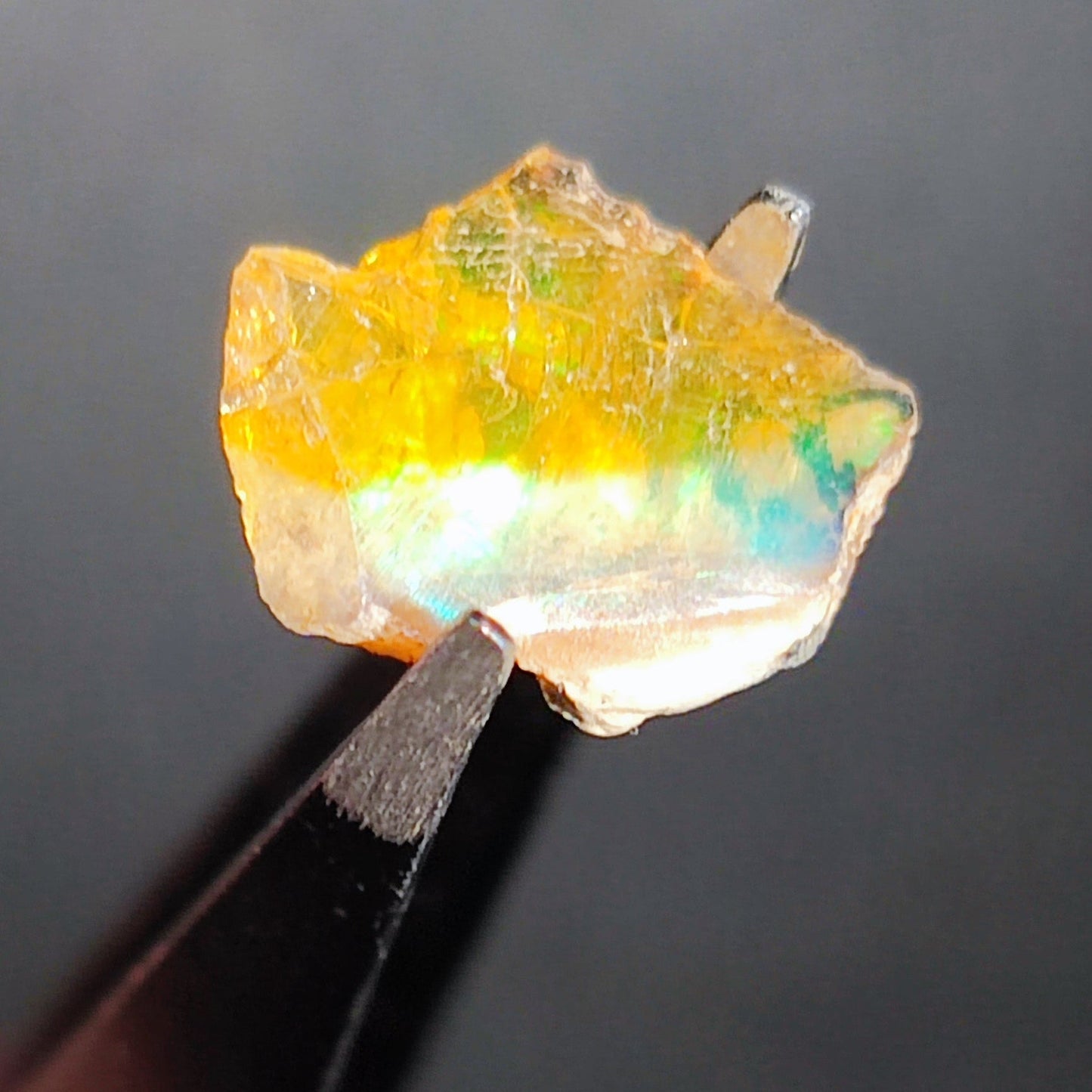 Opal in the rough from Coober Pedy - North Yorkshire Fossils