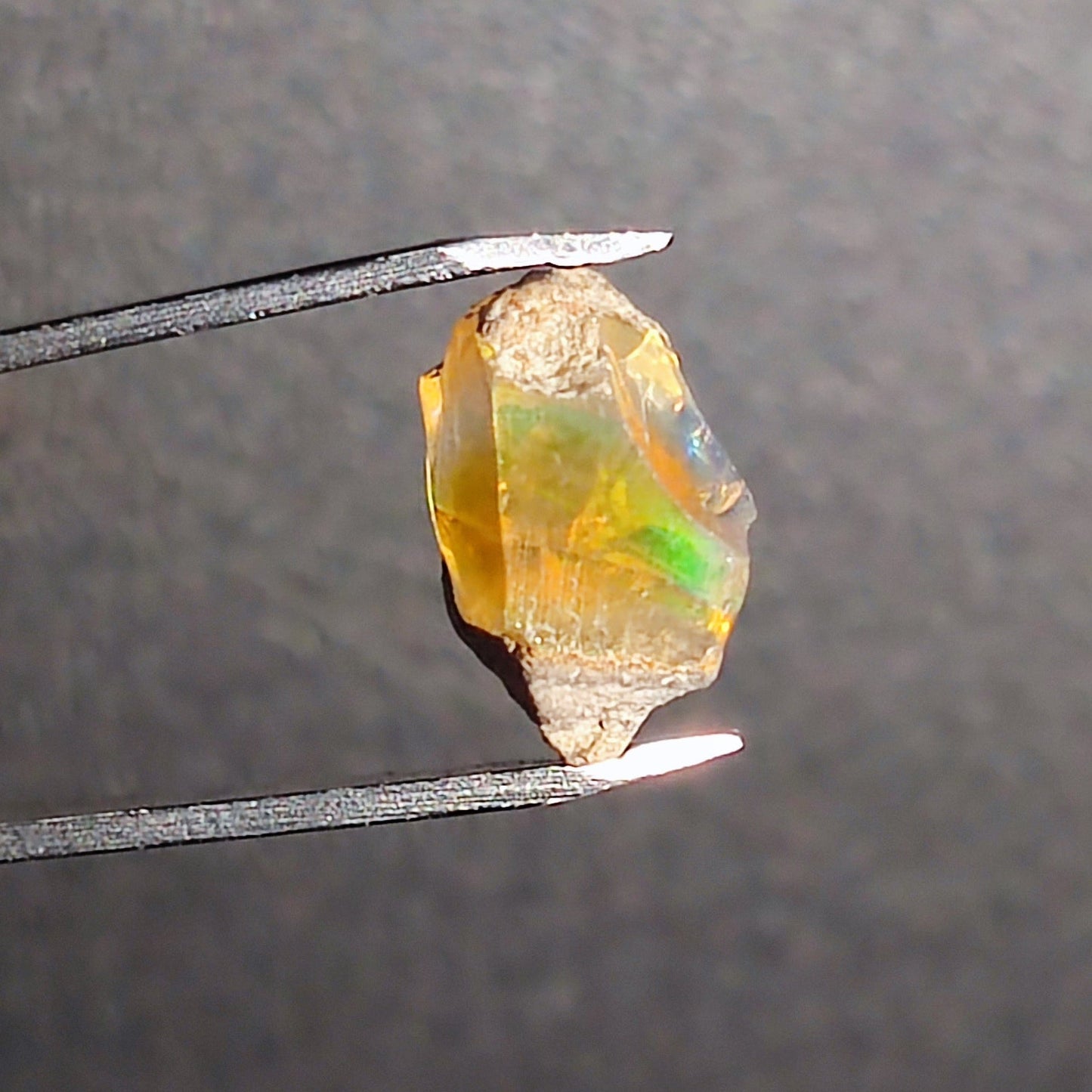 Opal in the rough from Coober Pedy - North Yorkshire Fossils