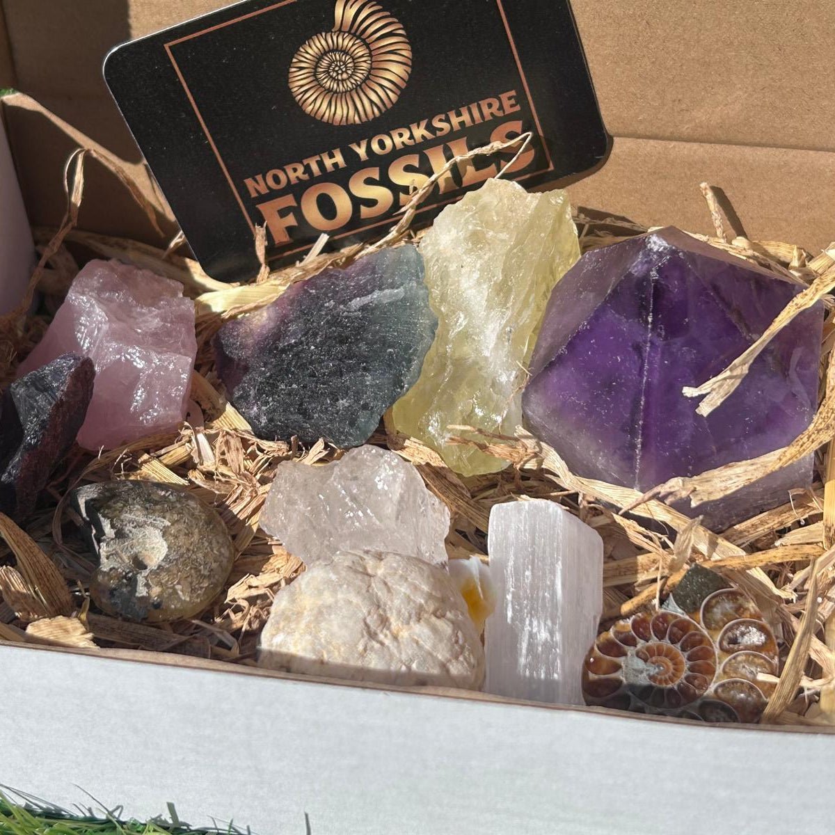 Super deluxe crystal and fossil gift box - North Yorkshire Fossils