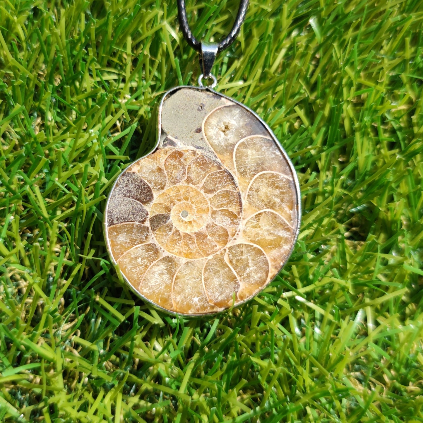 Ammonite fossil necklace - North Yorkshire Fossils
