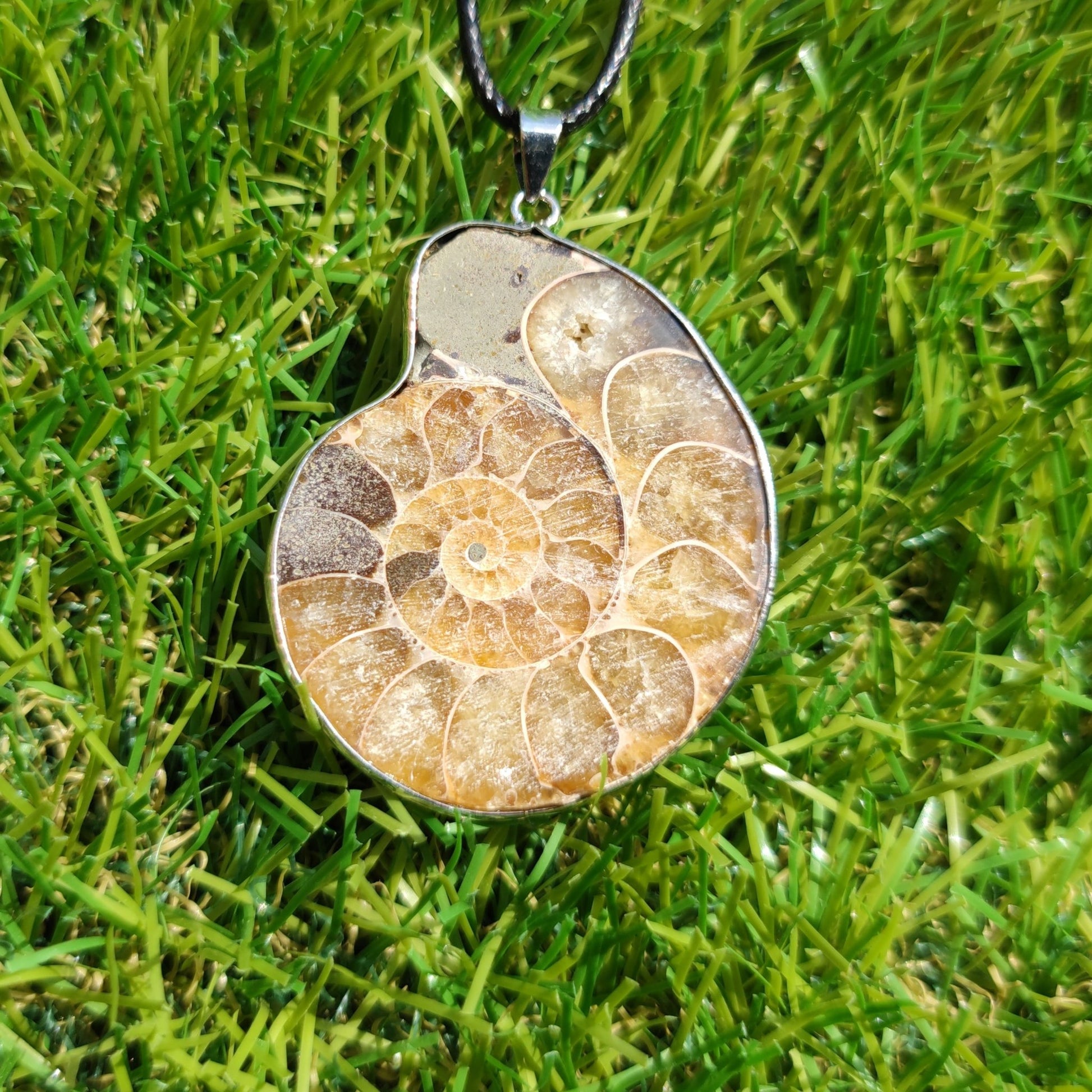 Ammonite fossil necklace - North Yorkshire Fossils