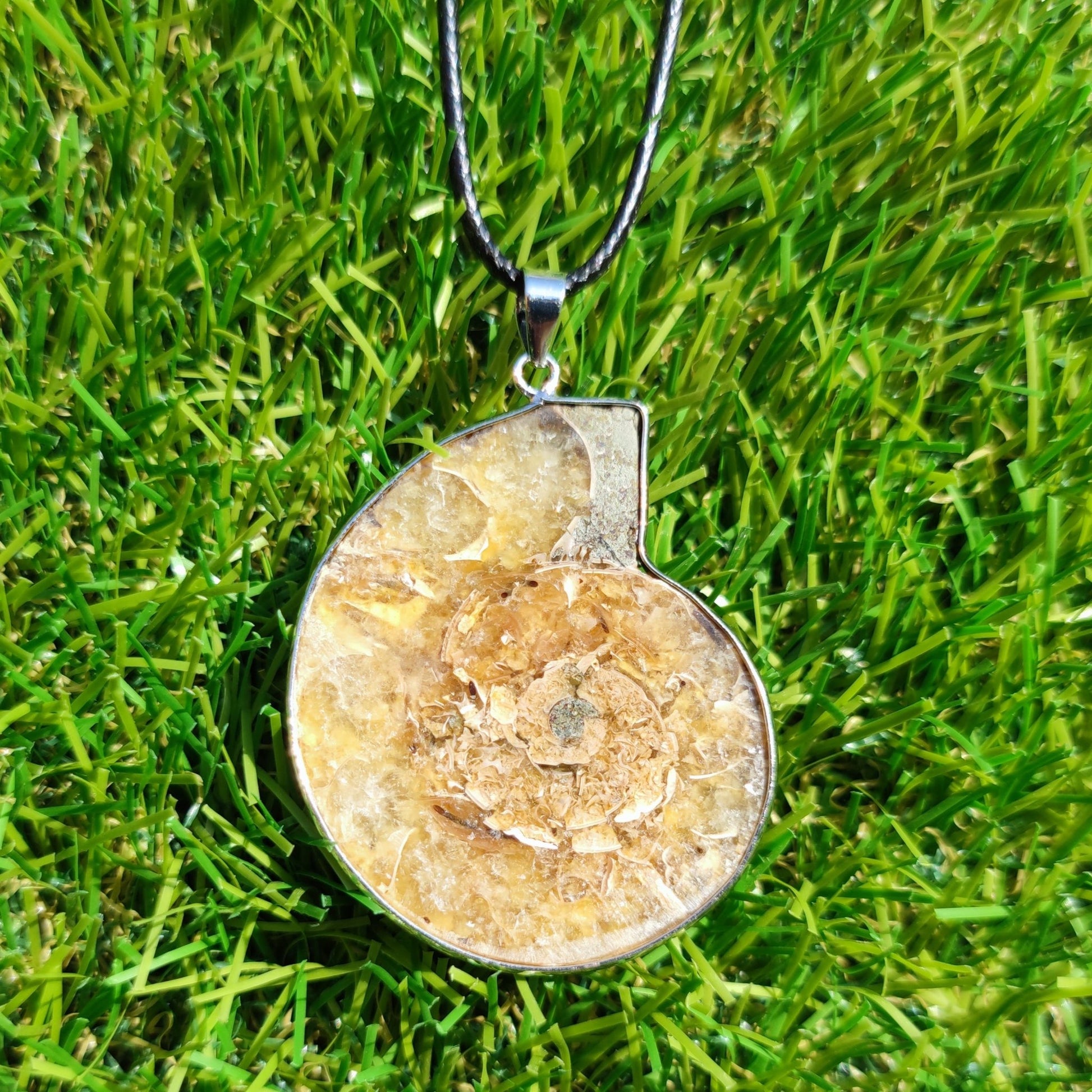 Ammonite fossil necklace - North Yorkshire Fossils
