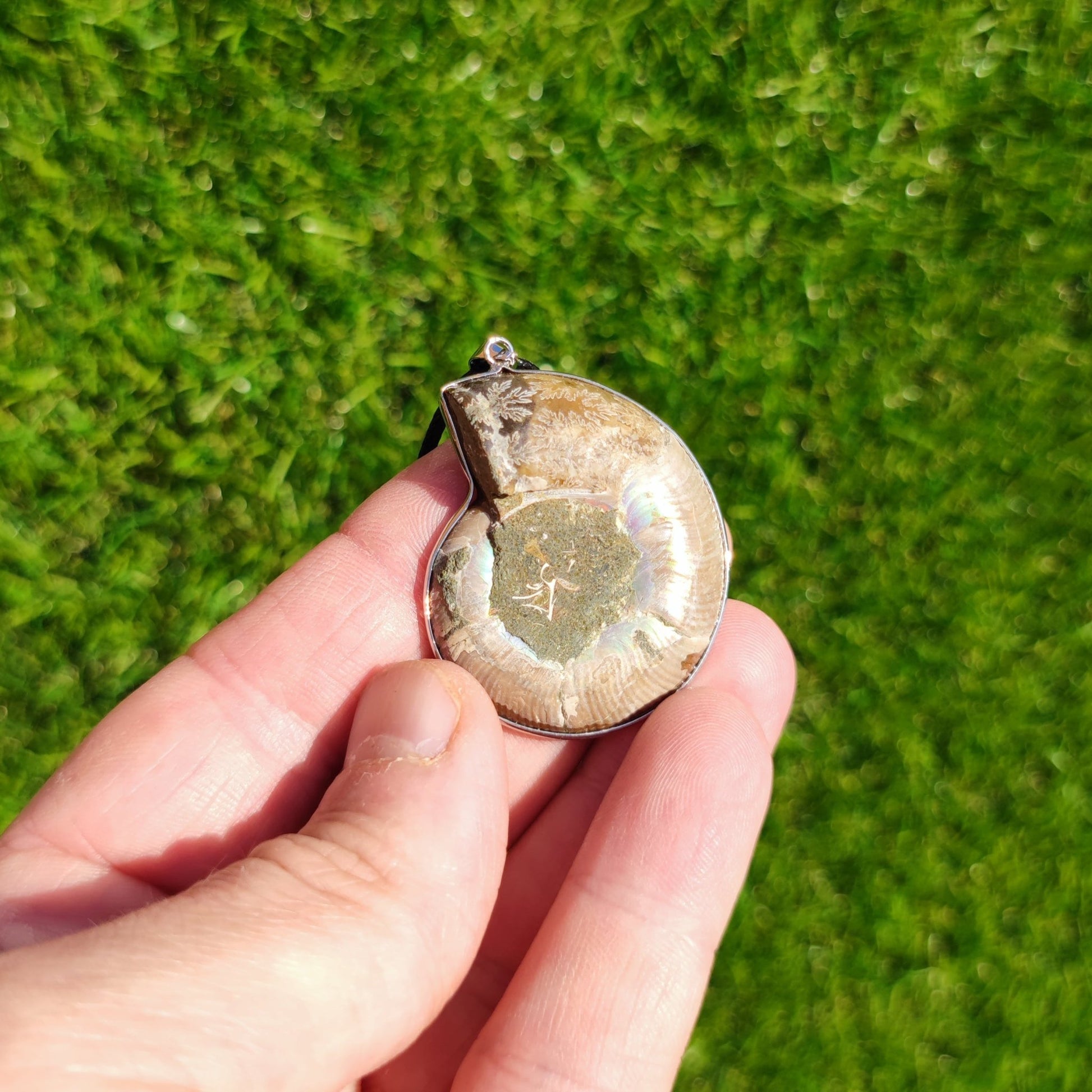 Ammonite fossil necklace - North Yorkshire Fossils