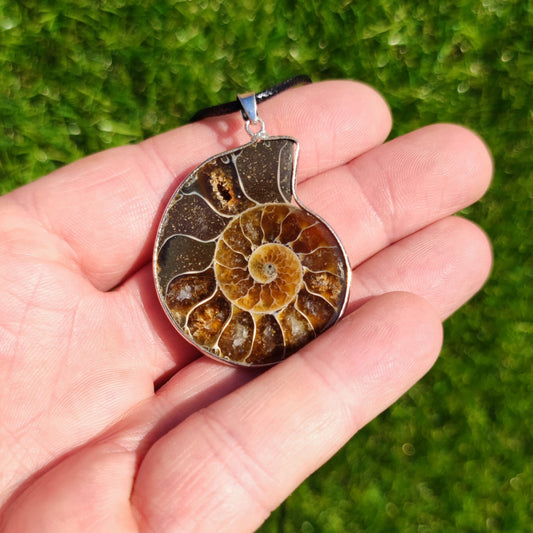 Ammonite fossil necklace - North Yorkshire Fossils