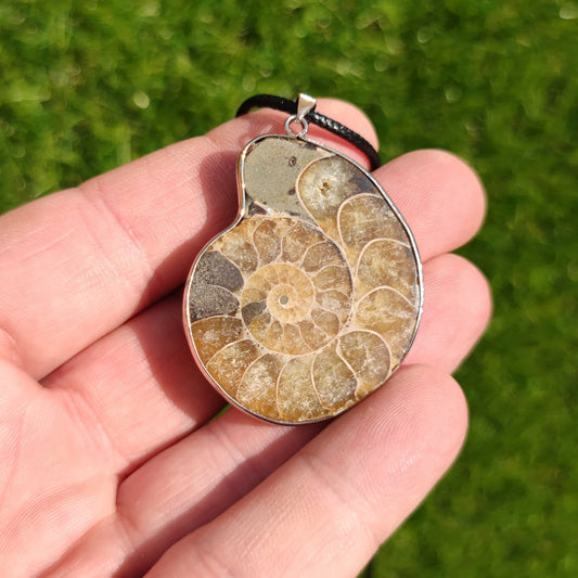 Ammonite fossil necklace - North Yorkshire Fossils