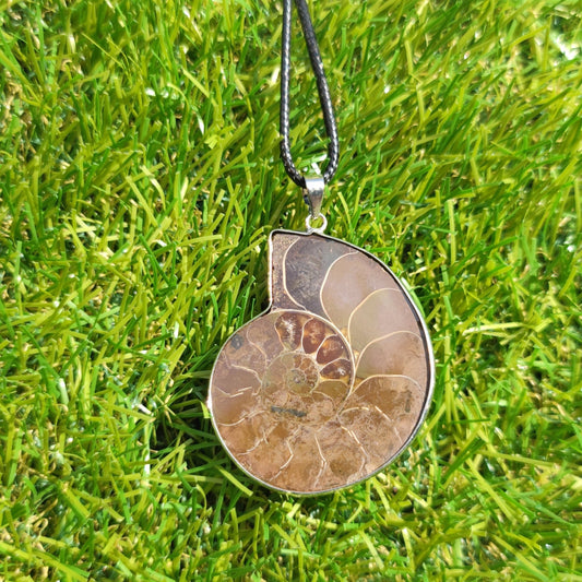 Ammonite fossil necklace - North Yorkshire Fossils