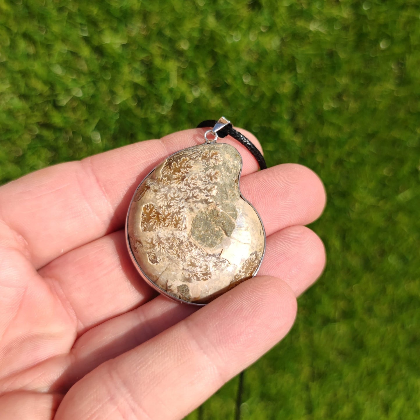 Ammonite fossil necklace - North Yorkshire Fossils