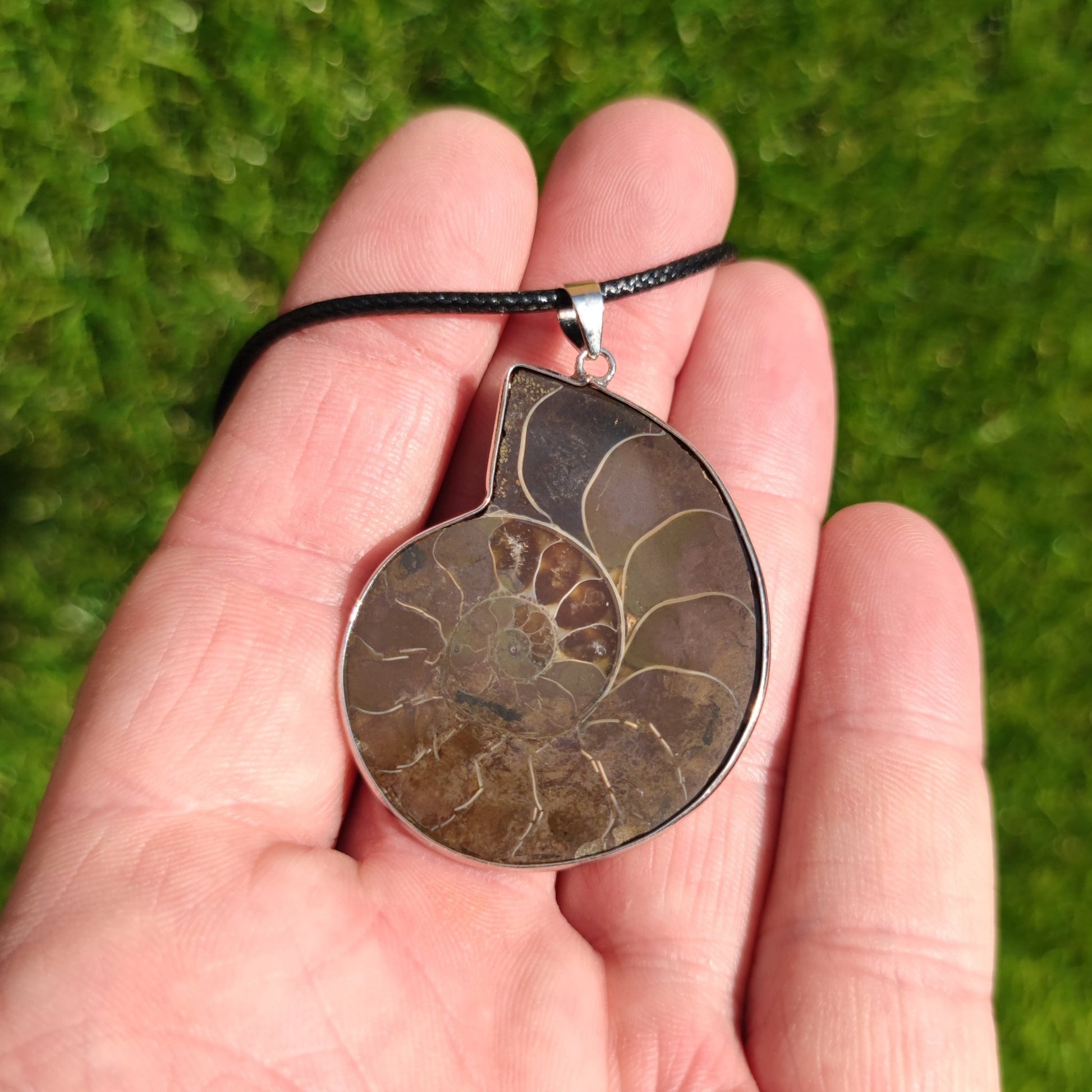 Ammonite fossil necklace - North Yorkshire Fossils