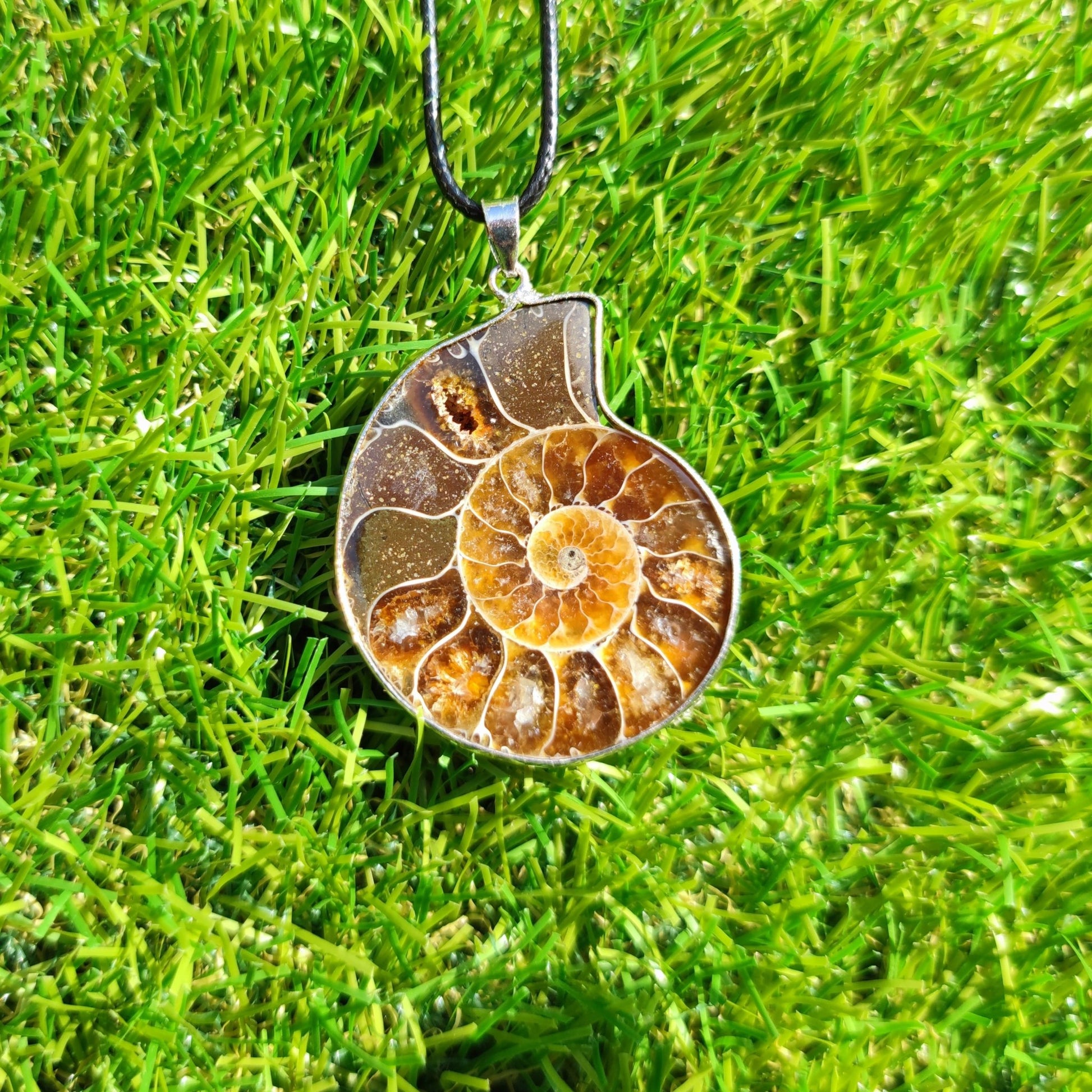 Ammonite fossil necklace - North Yorkshire Fossils