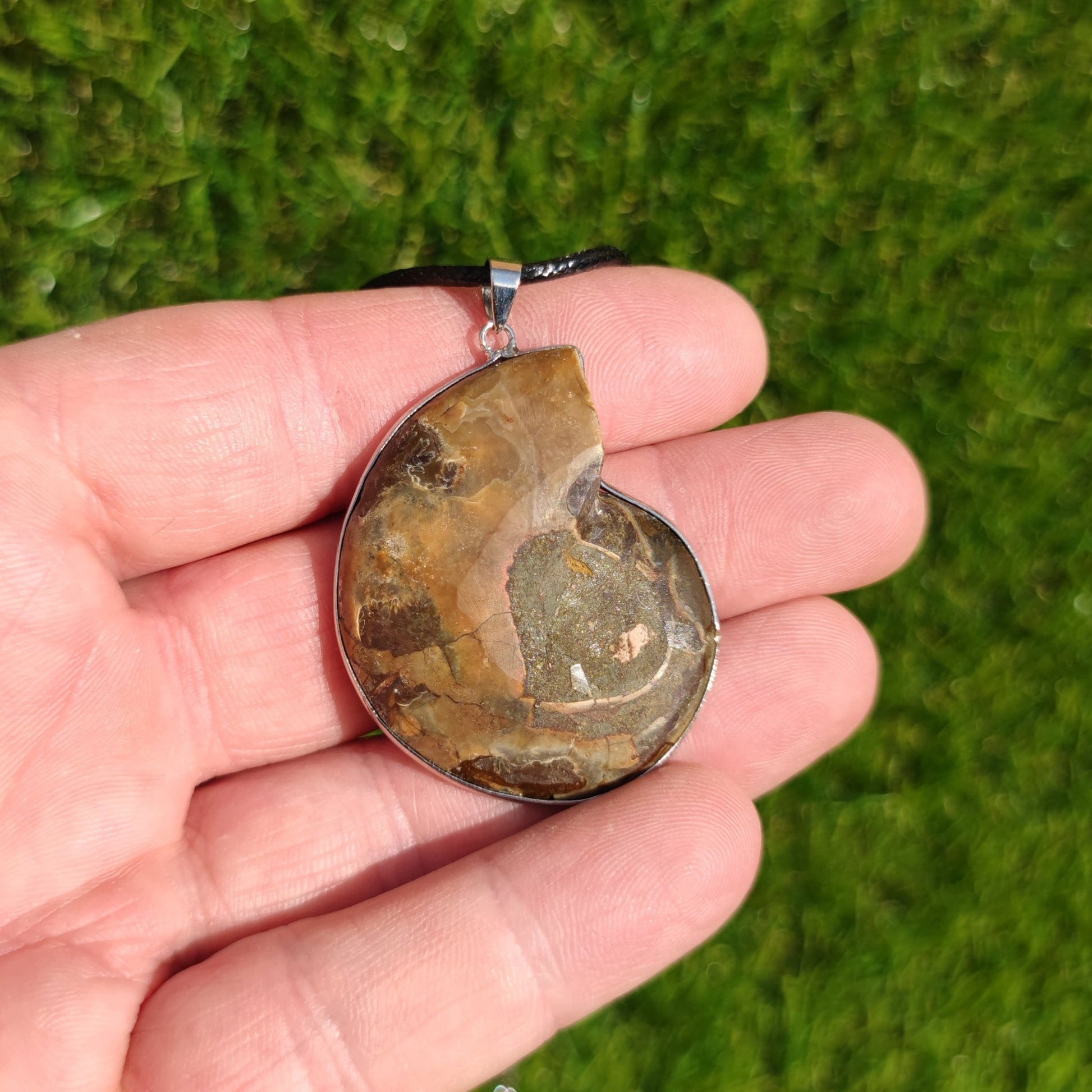 Ammonite fossil necklace - North Yorkshire Fossils