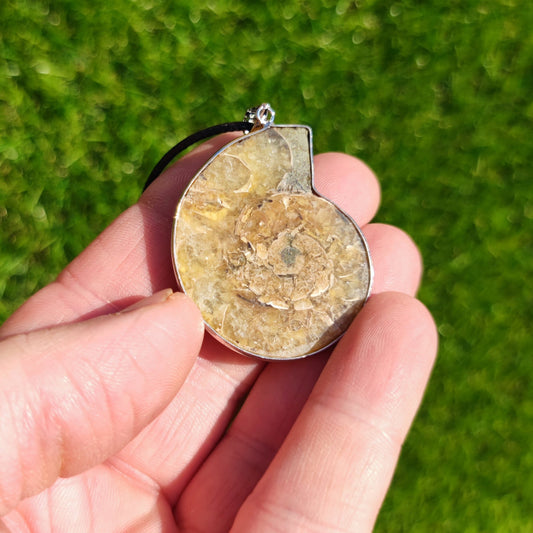 Ammonite fossil necklace - North Yorkshire Fossils