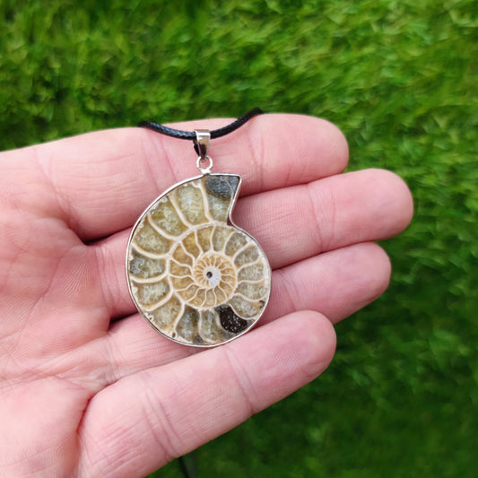 Ammonite necklace with genuine fossil - North Yorkshire Fossils
