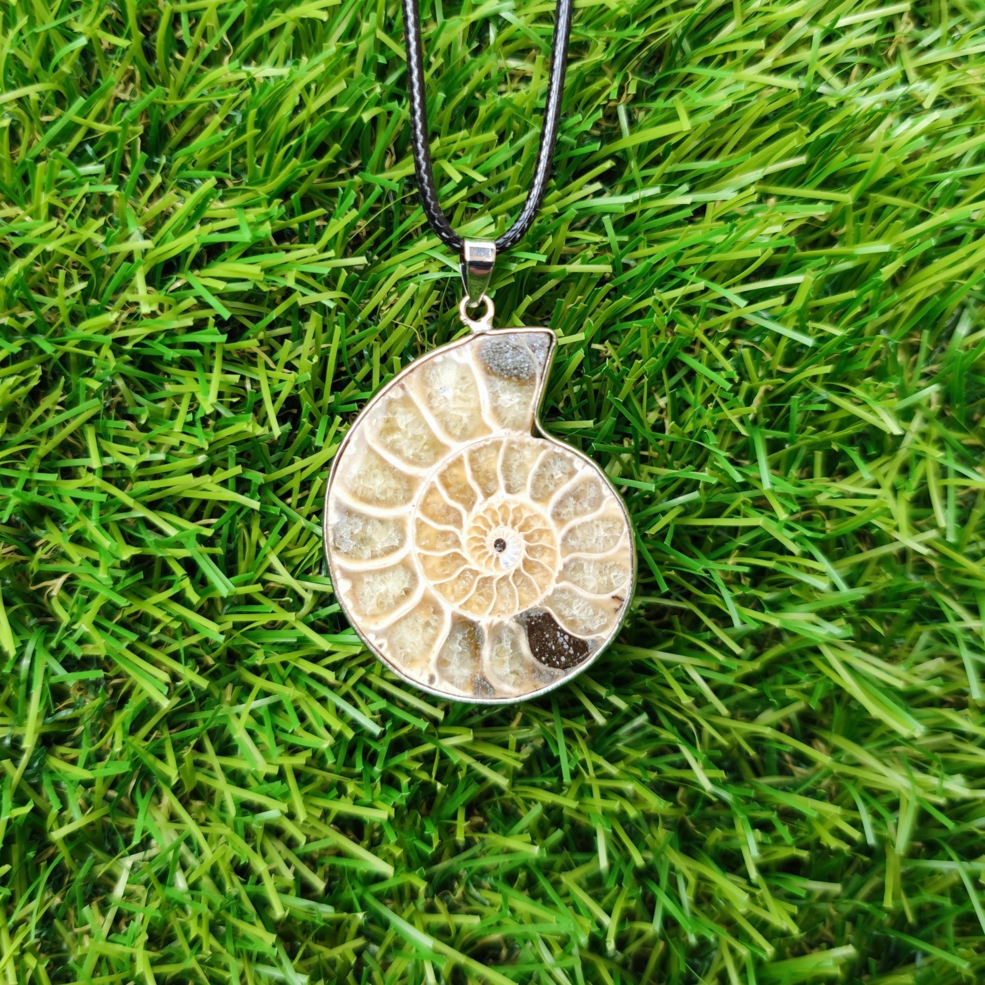 Ammonite necklace with genuine fossil - North Yorkshire Fossils