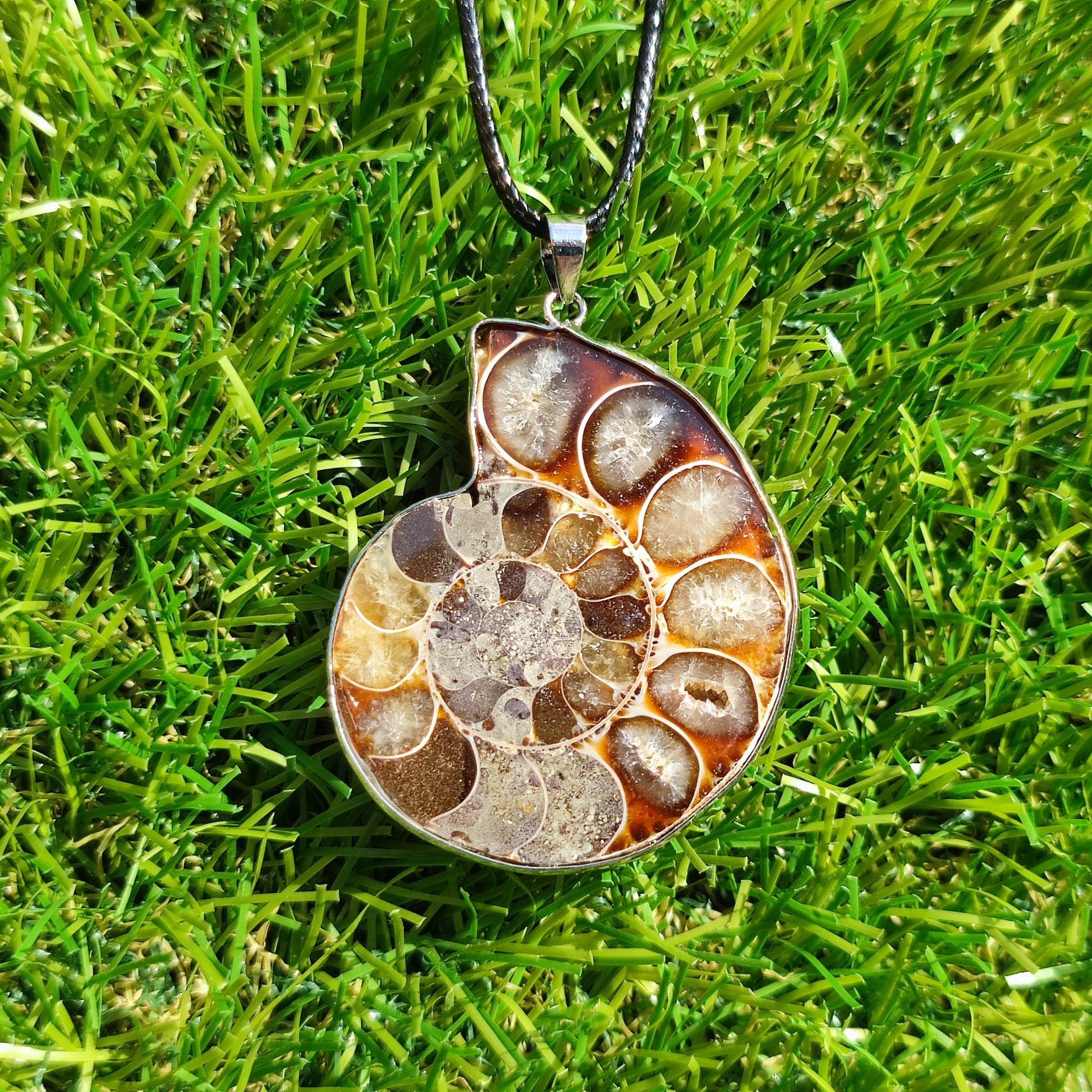 Ammonite necklace with genuine polished ammonite fossil - North Yorkshire Fossils