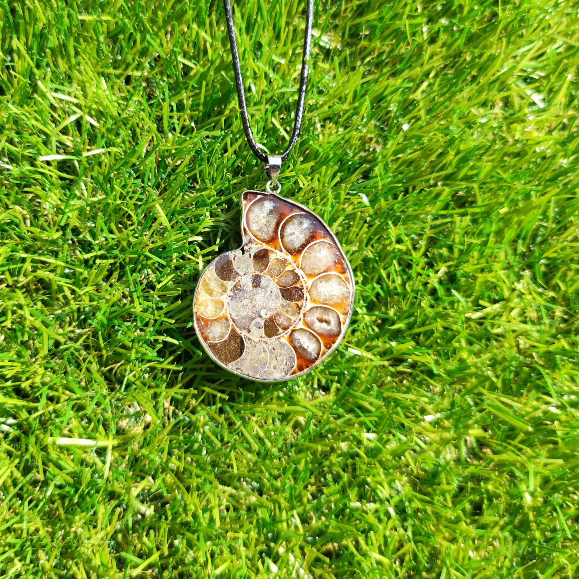 Ammonite necklace with genuine polished ammonite fossil - North Yorkshire Fossils