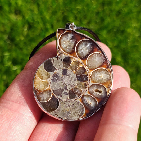 Ammonite necklace with genuine polished ammonite fossil - North Yorkshire Fossils