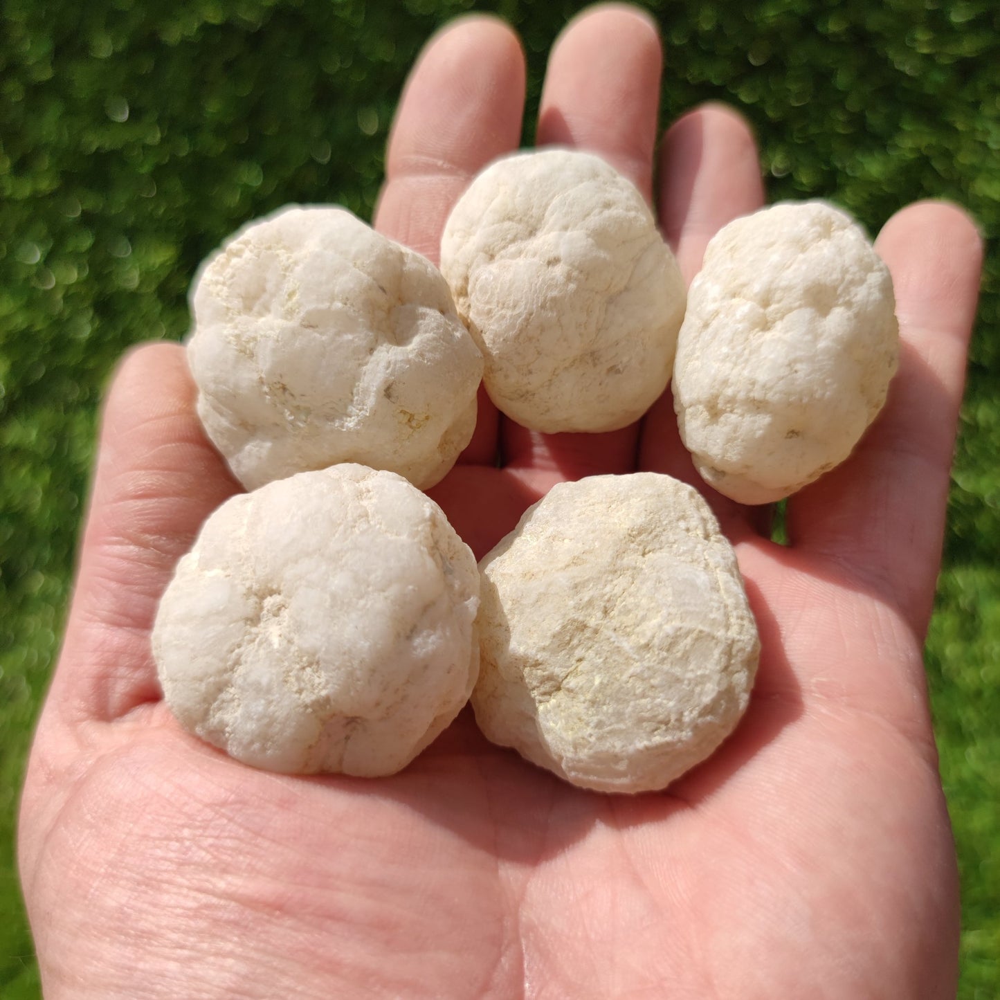 Break your own geodes pack of 5 - North Yorkshire Fossils