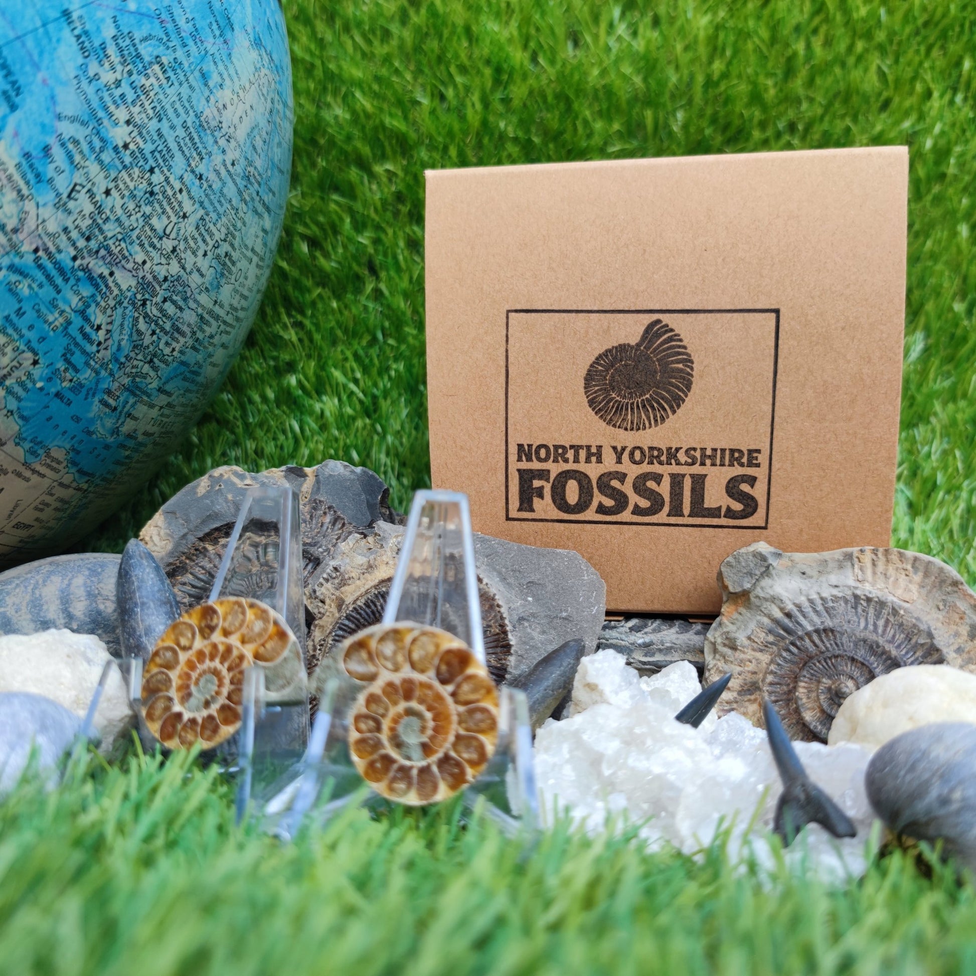 Children's fossil gift set worldwide fossils - North Yorkshire Fossils