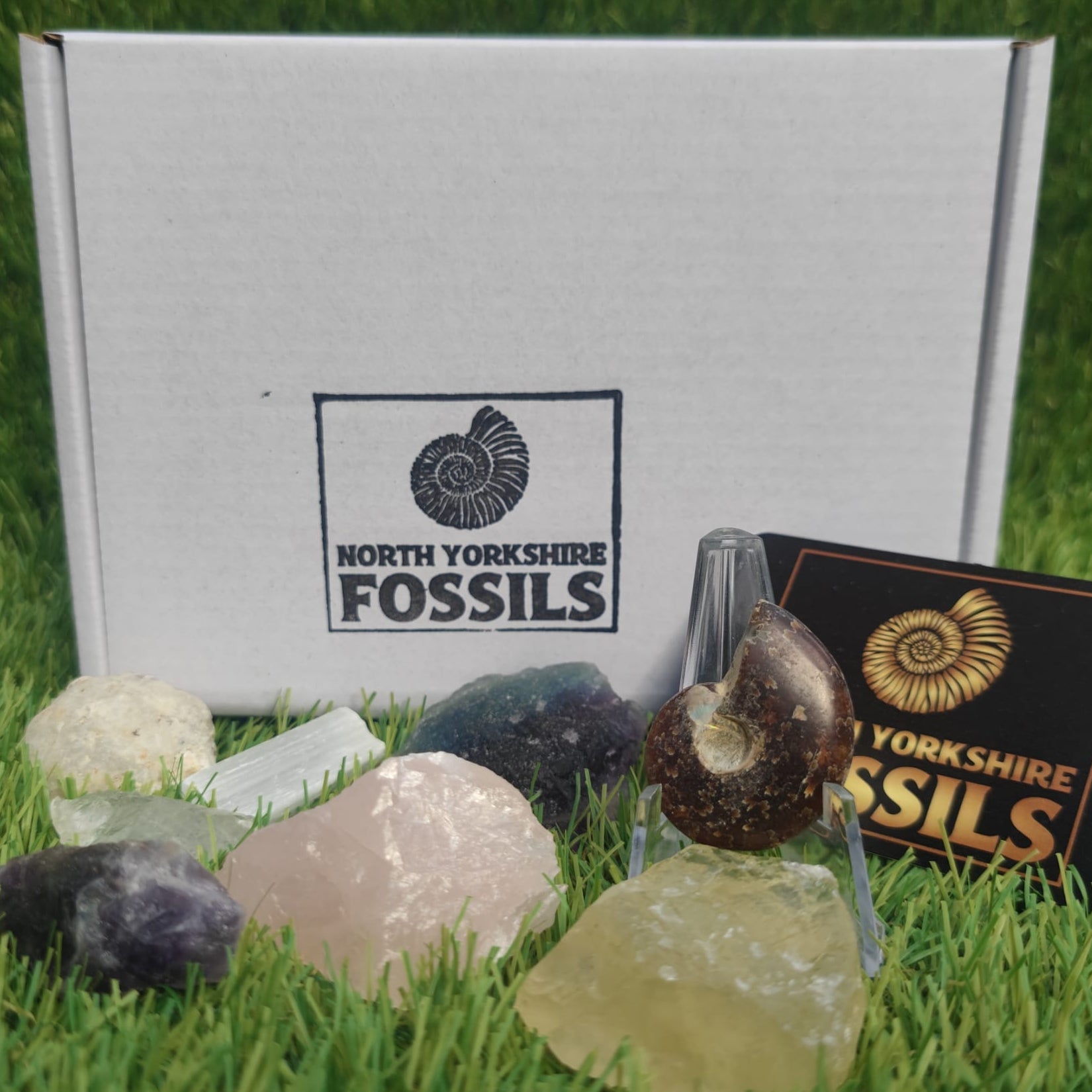 Crystal and fossil gift box - North Yorkshire Fossils