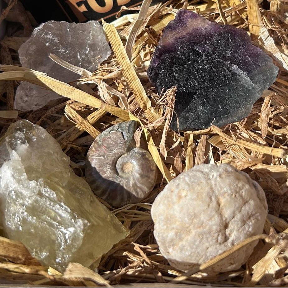 Crystal and fossil gift box - North Yorkshire Fossils