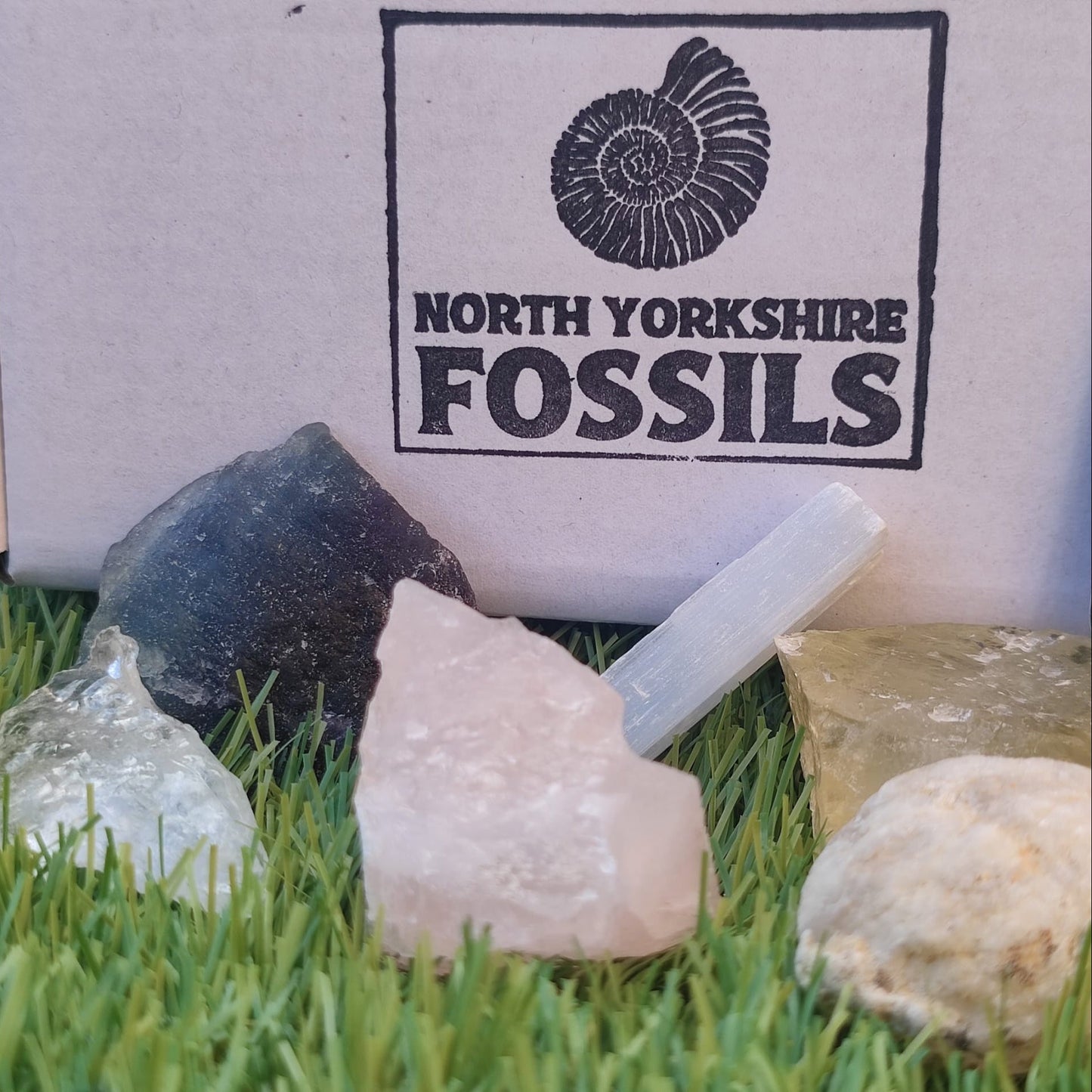 Crystal and fossil gift box - North Yorkshire Fossils