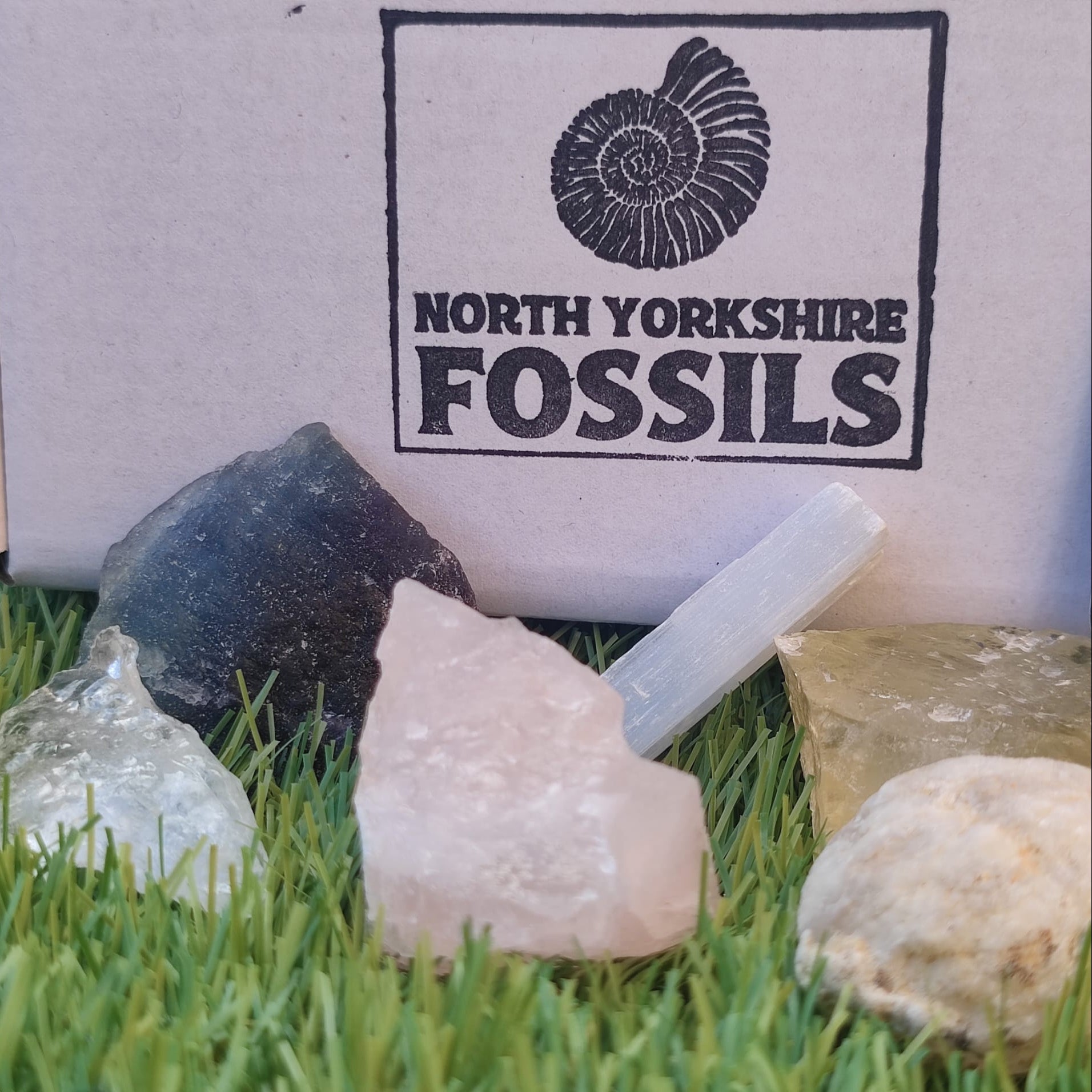 Crystal and fossil gift box - North Yorkshire Fossils