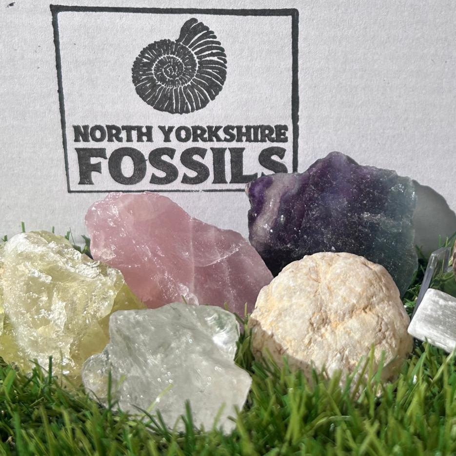 Crystal and fossil gift box - North Yorkshire Fossils