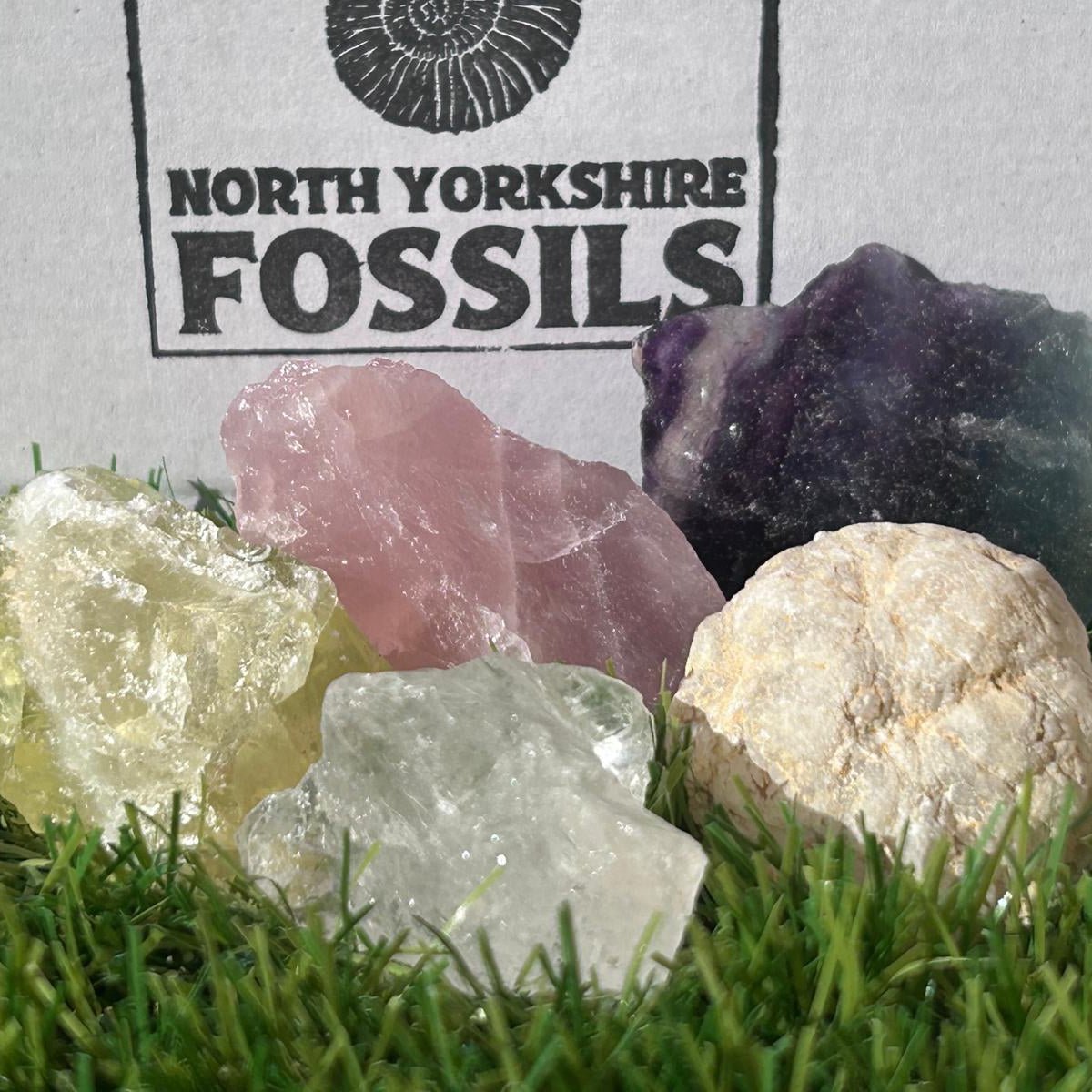 Crystal and fossil gift box - North Yorkshire Fossils