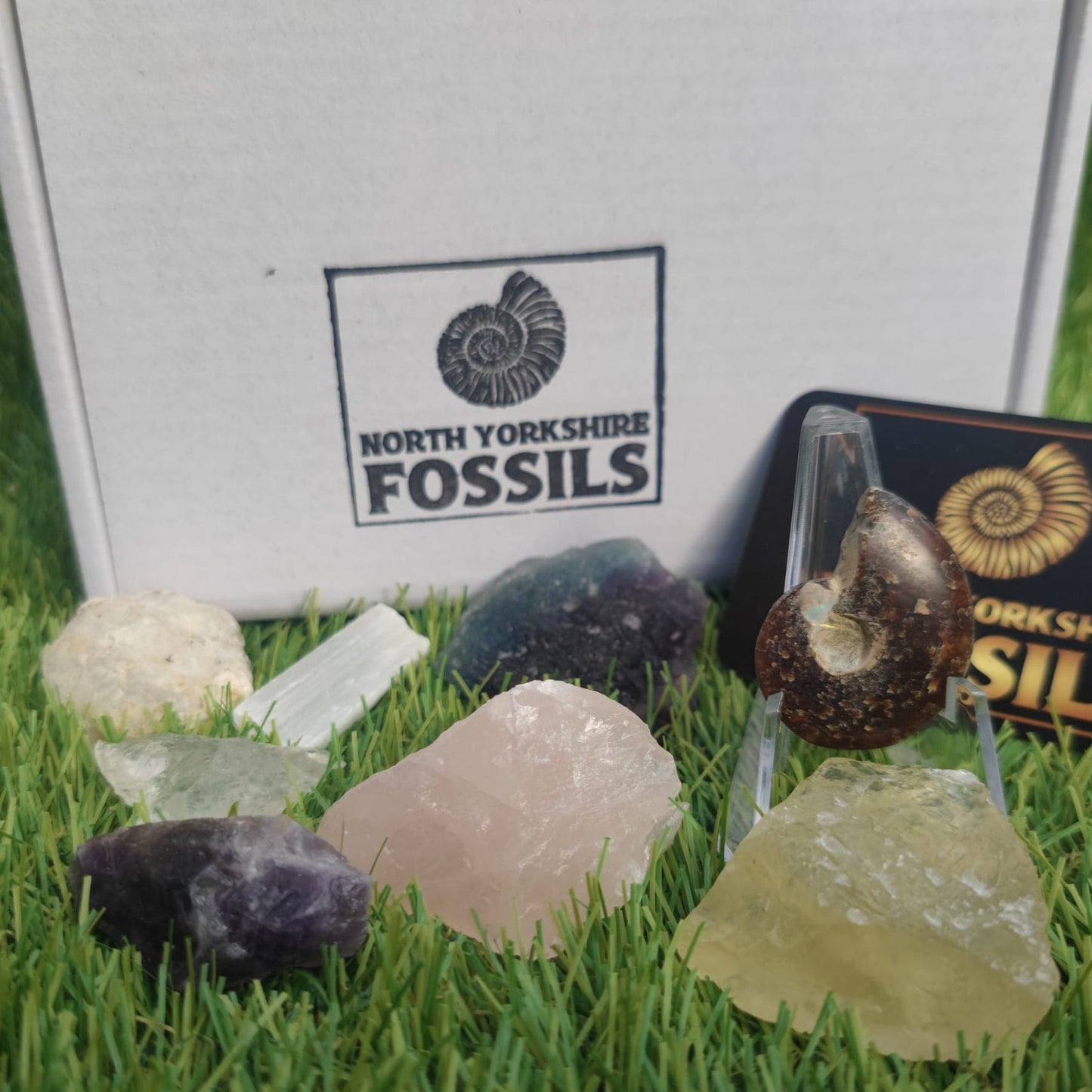 Crystal and fossil gift box - North Yorkshire Fossils