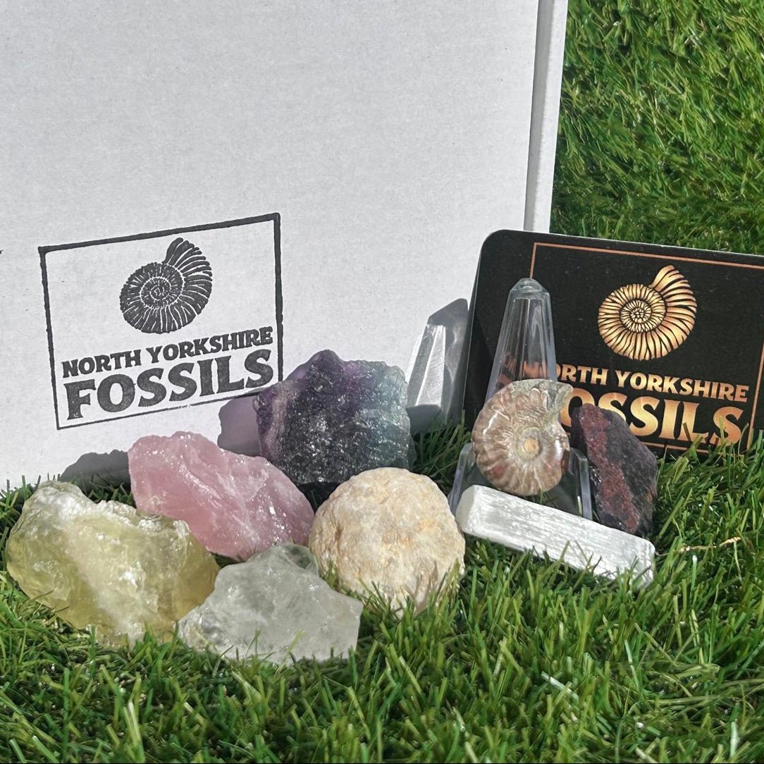 Crystal and fossil gift box - North Yorkshire Fossils
