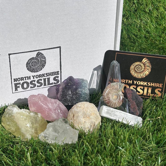 Crystal and fossil gift box - North Yorkshire Fossils