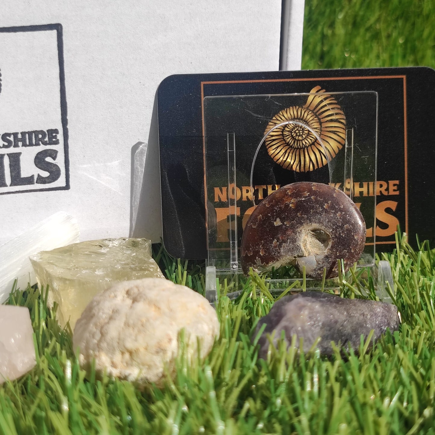 Crystal and fossil gift box - North Yorkshire Fossils