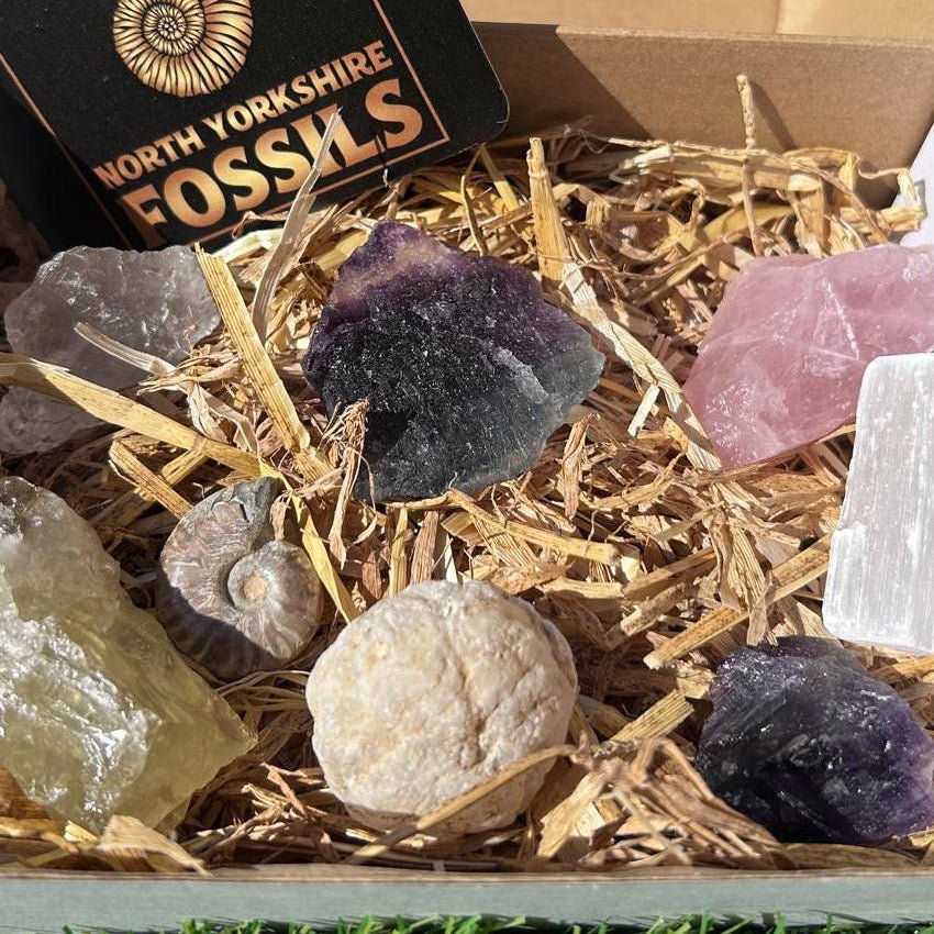 Crystal and fossil gift box - North Yorkshire Fossils