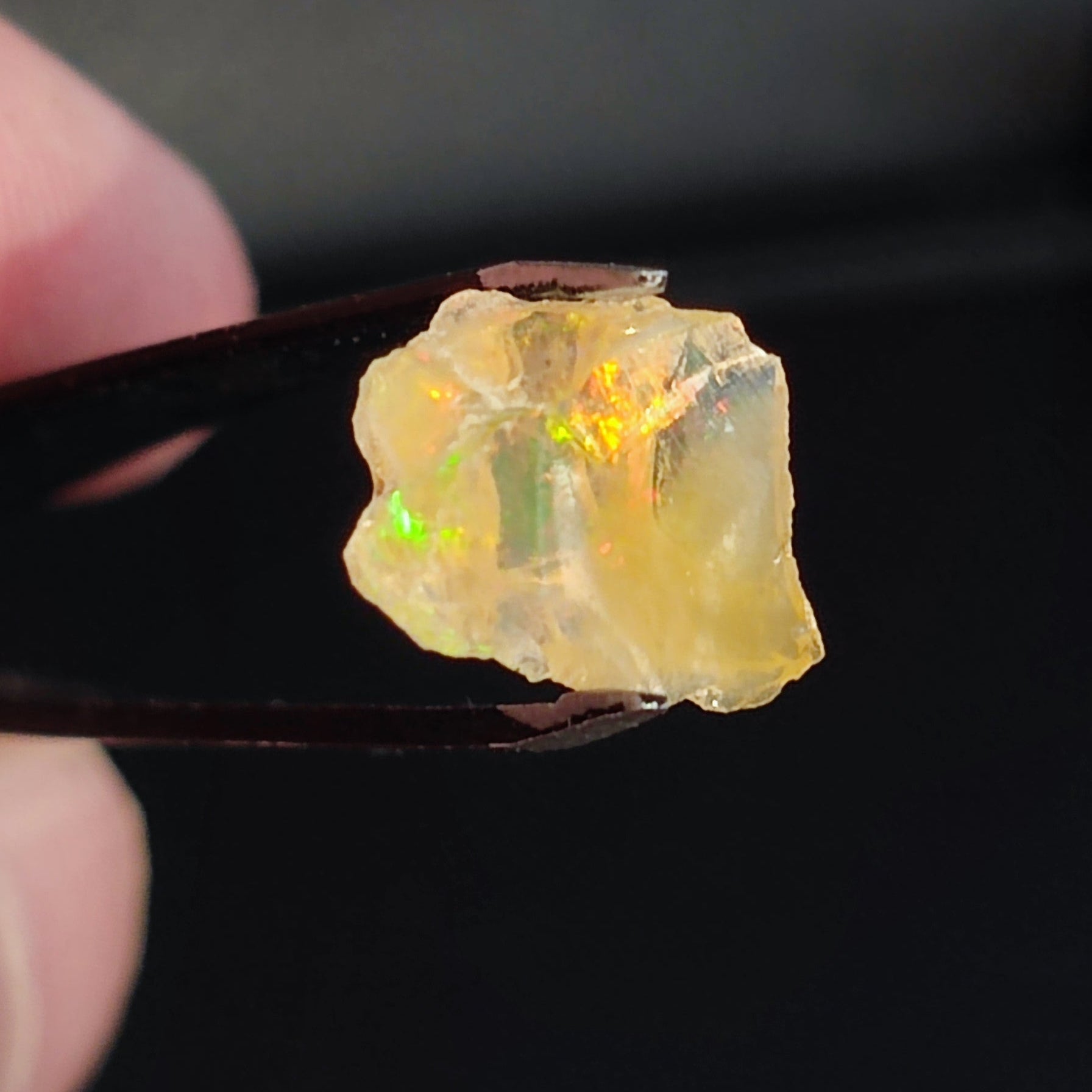 Opal in the rough Coober Pedy - North Yorkshire Fossils