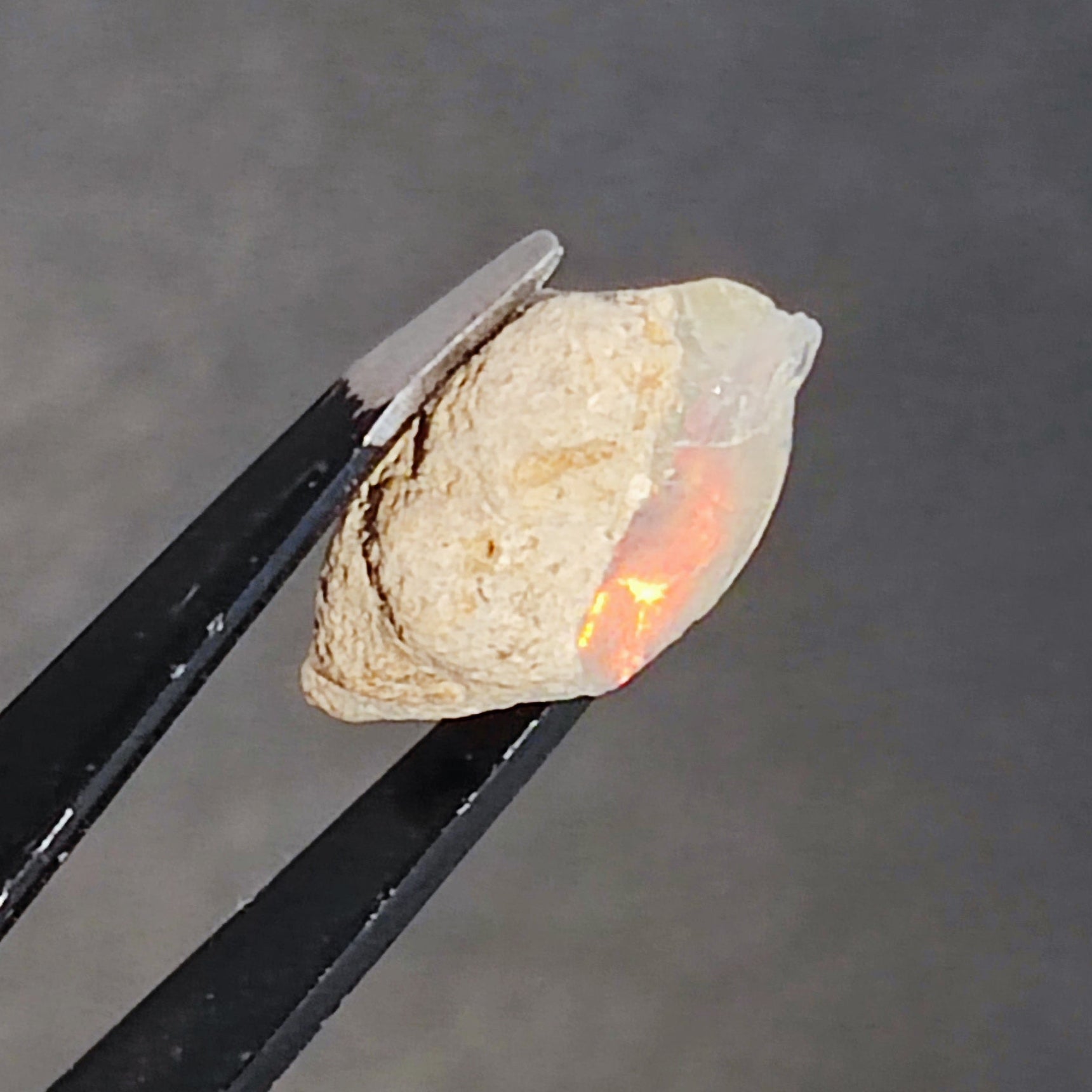 Opal in the rough Coober Pedy - North Yorkshire Fossils