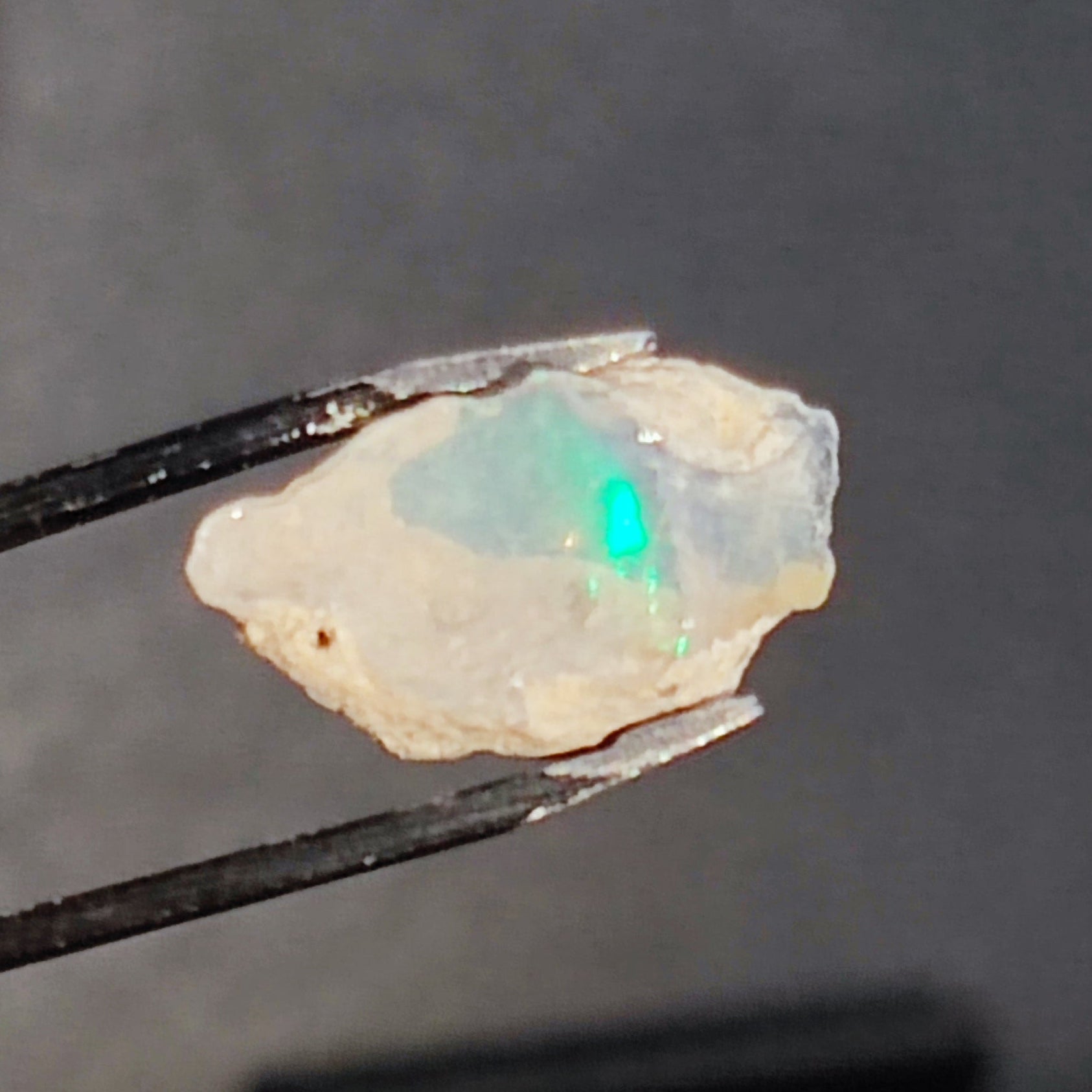 Opal in the rough Coober Pedy - North Yorkshire Fossils