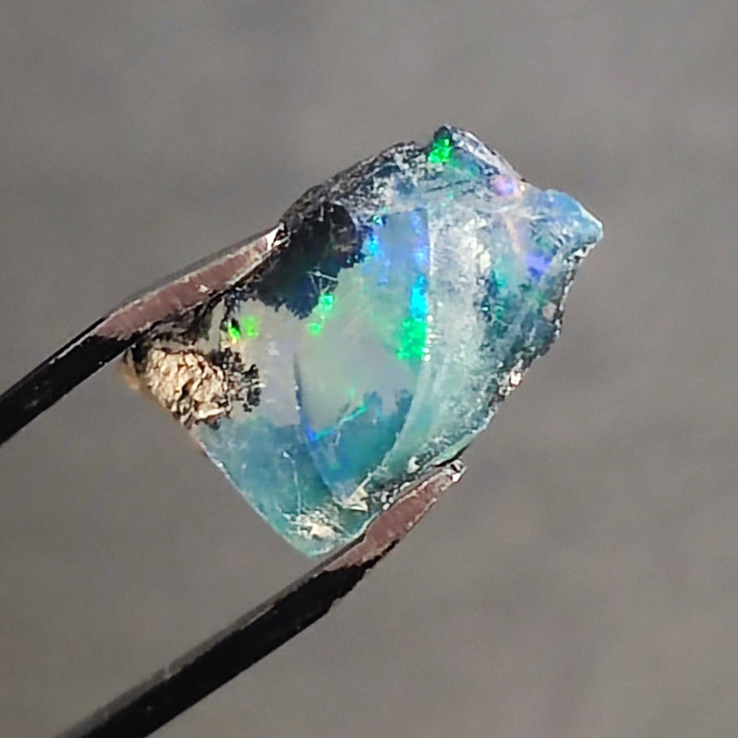 Opal in the rough Coober Pedy - North Yorkshire Fossils