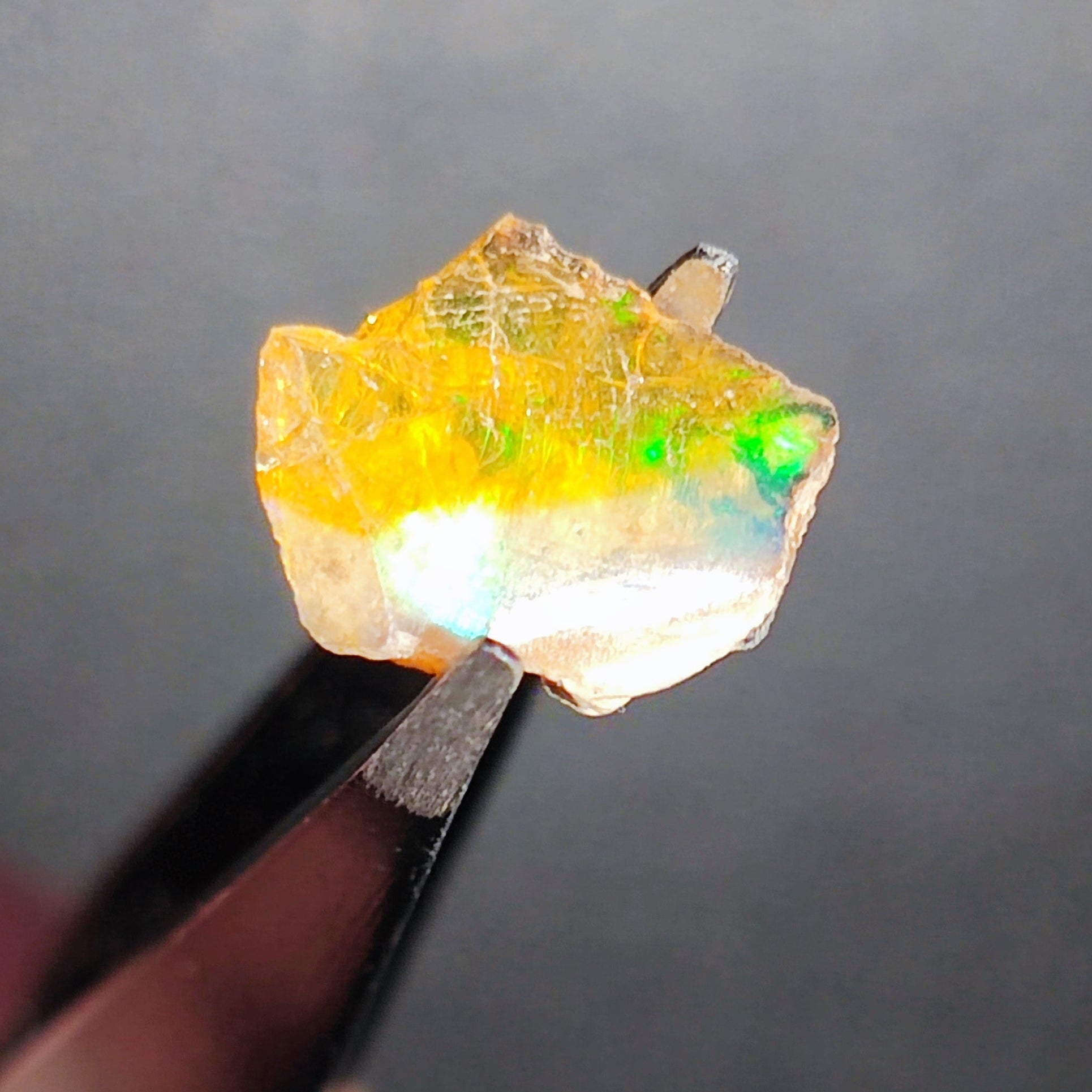 Opal in the rough from Coober Pedy - North Yorkshire Fossils