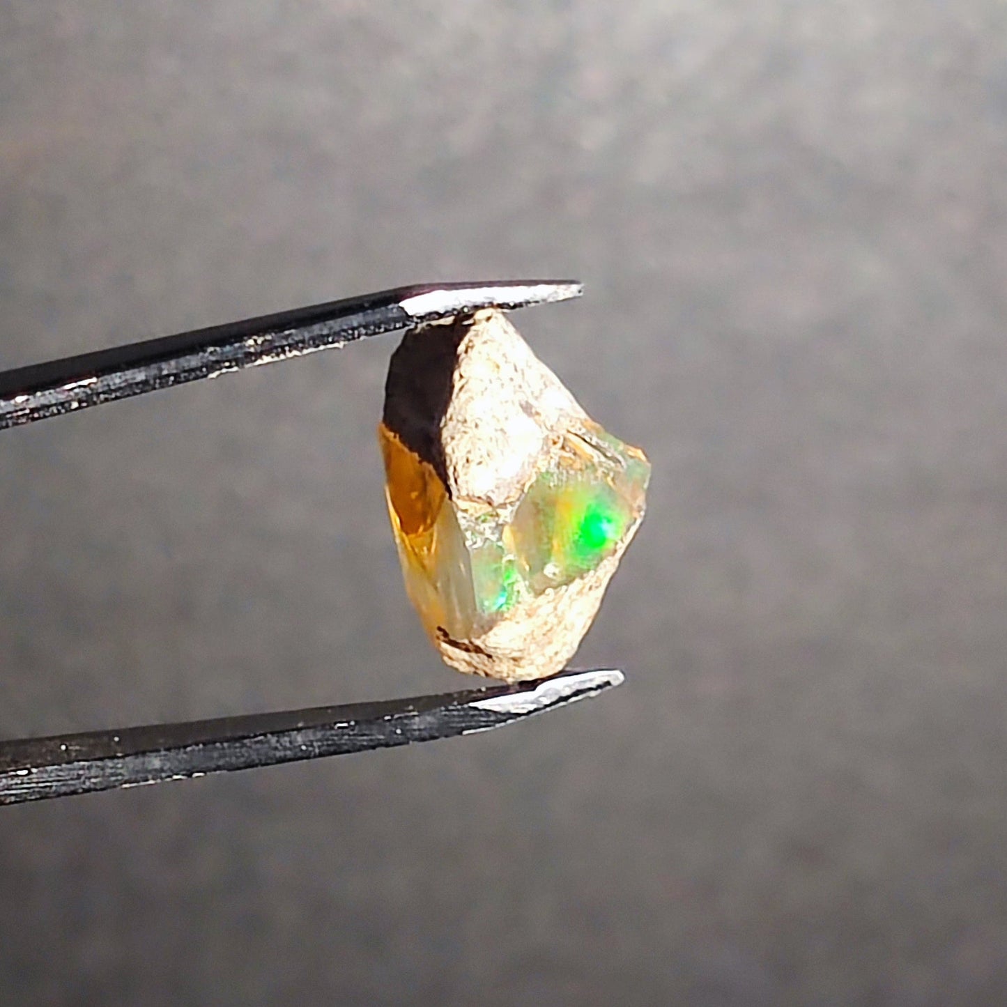 Opal in the rough from Coober Pedy - North Yorkshire Fossils