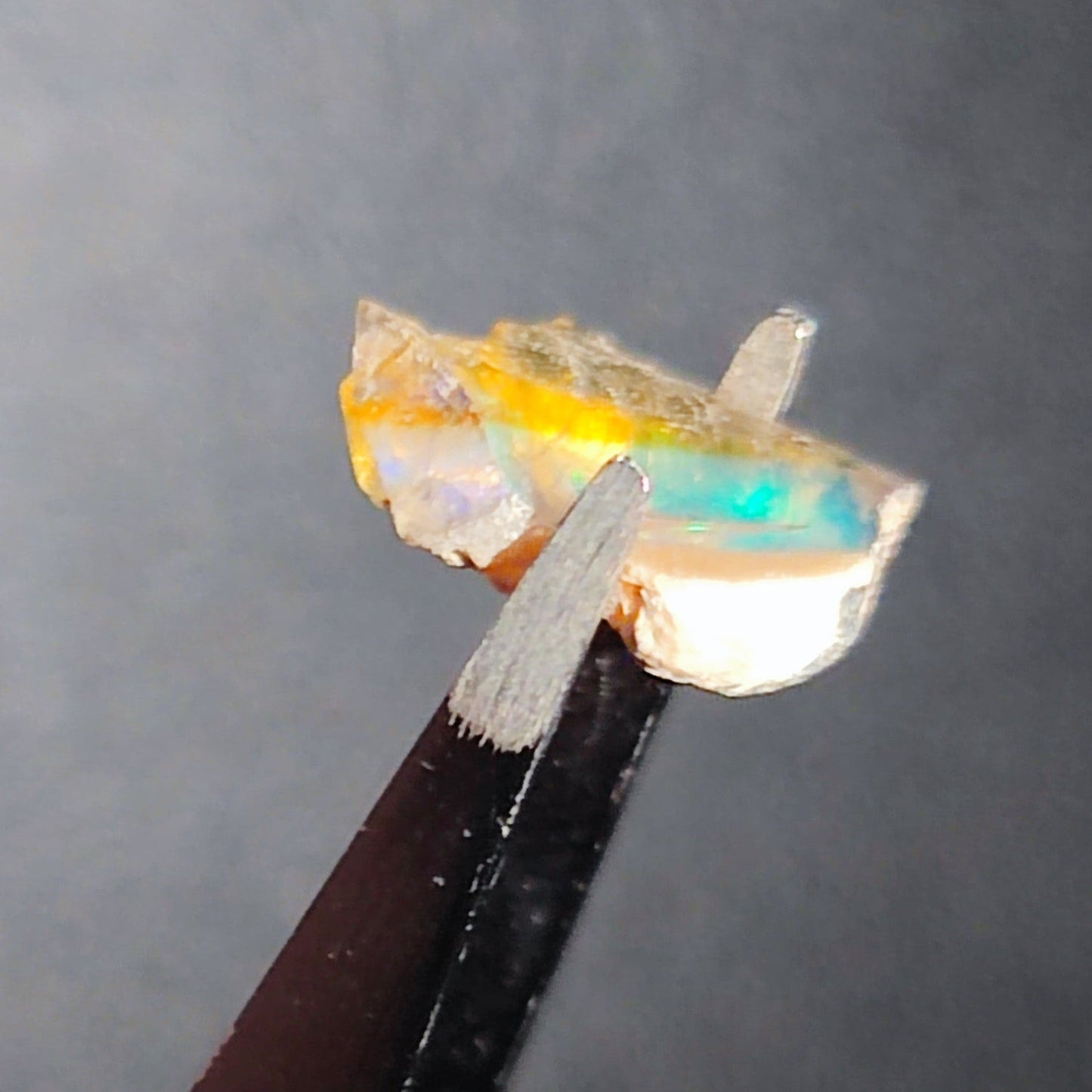 Opal in the rough from Coober Pedy - North Yorkshire Fossils