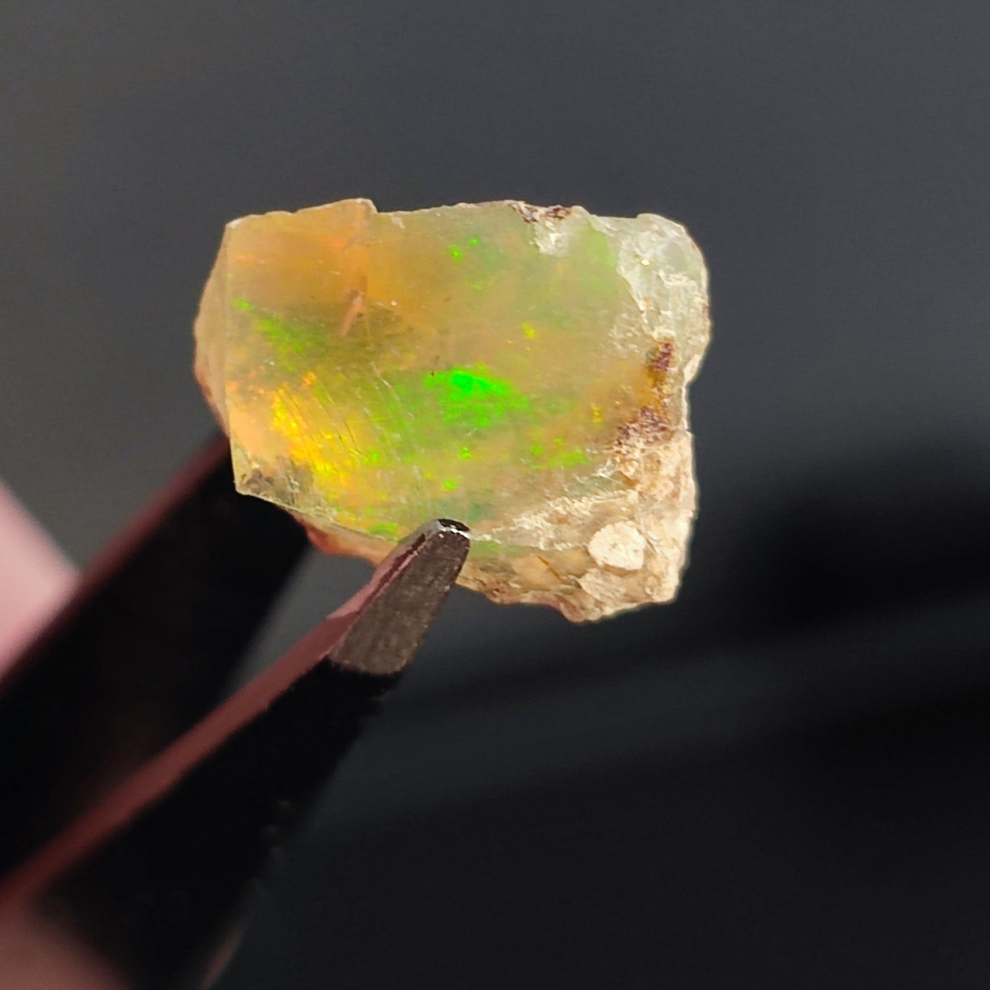 Opal in the rough from Coober Pedy - North Yorkshire Fossils