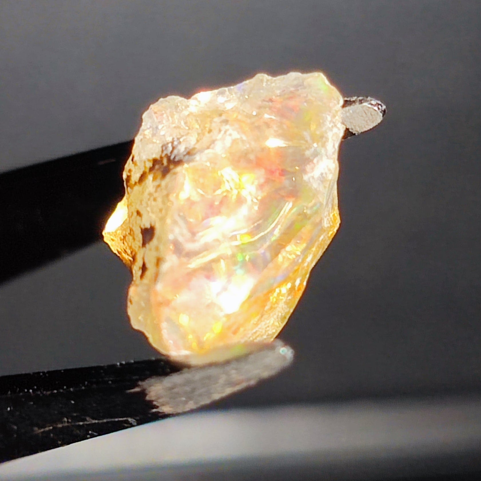 Opal in the rough from Coober Pedy - North Yorkshire Fossils