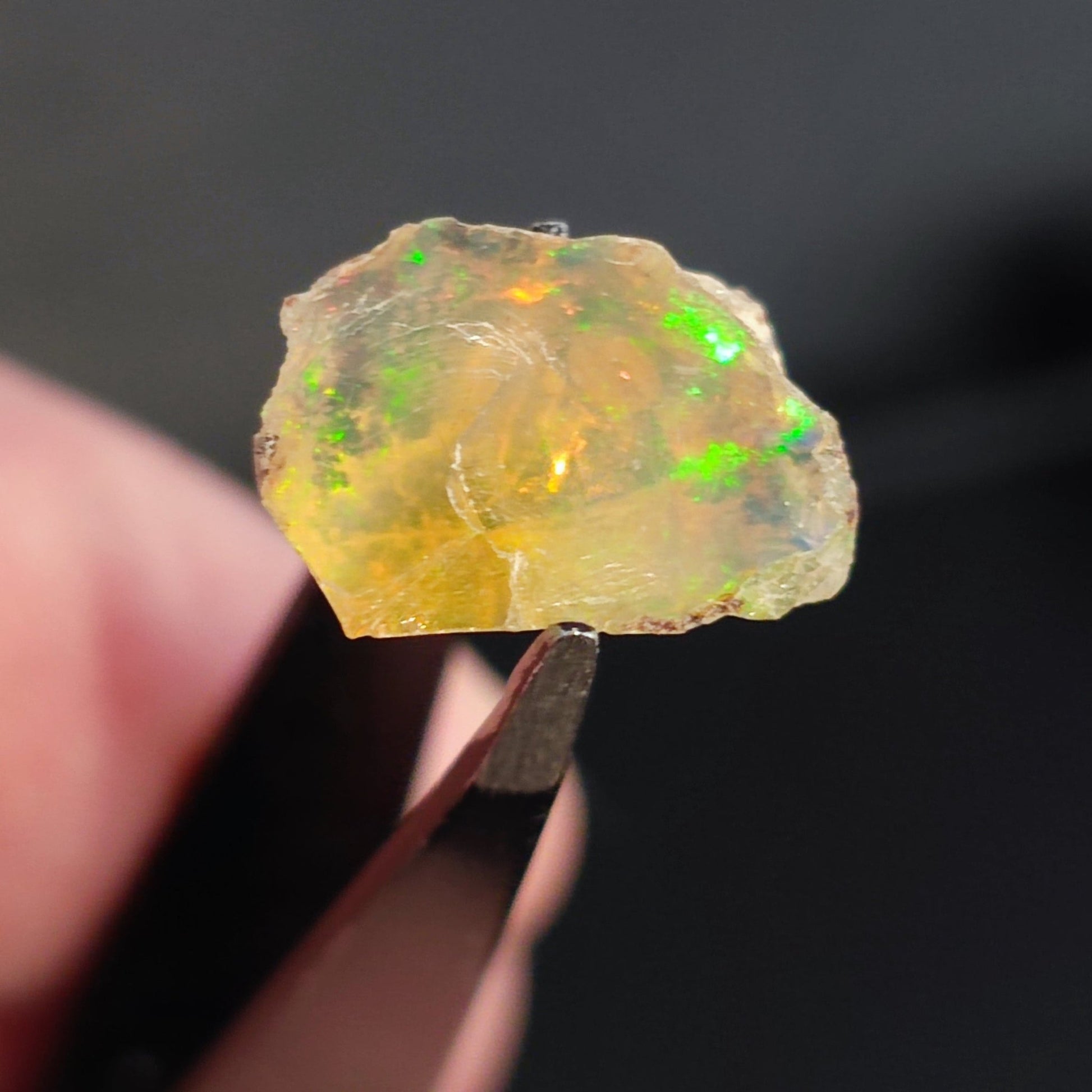 Opal in the rough from Coober Pedy - North Yorkshire Fossils