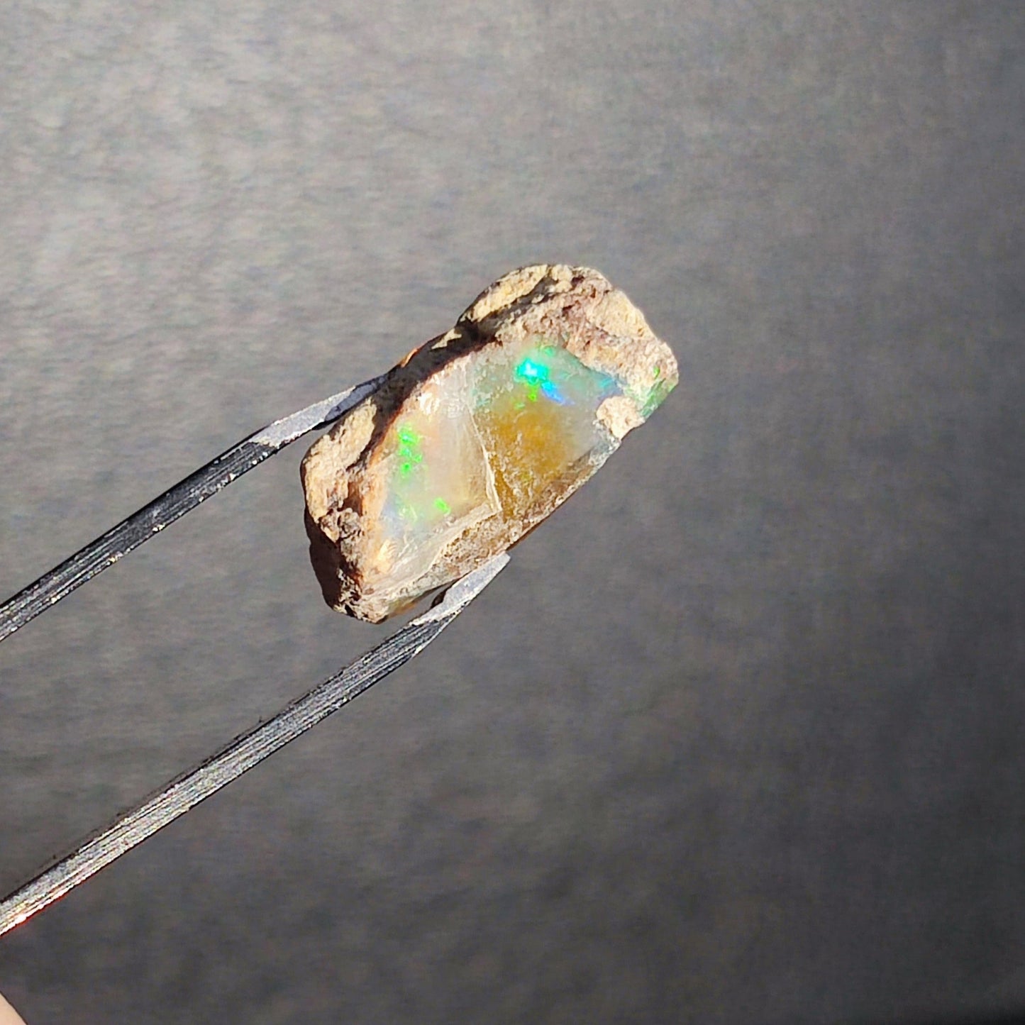 Opal in the rough from Coober Pedy - North Yorkshire Fossils